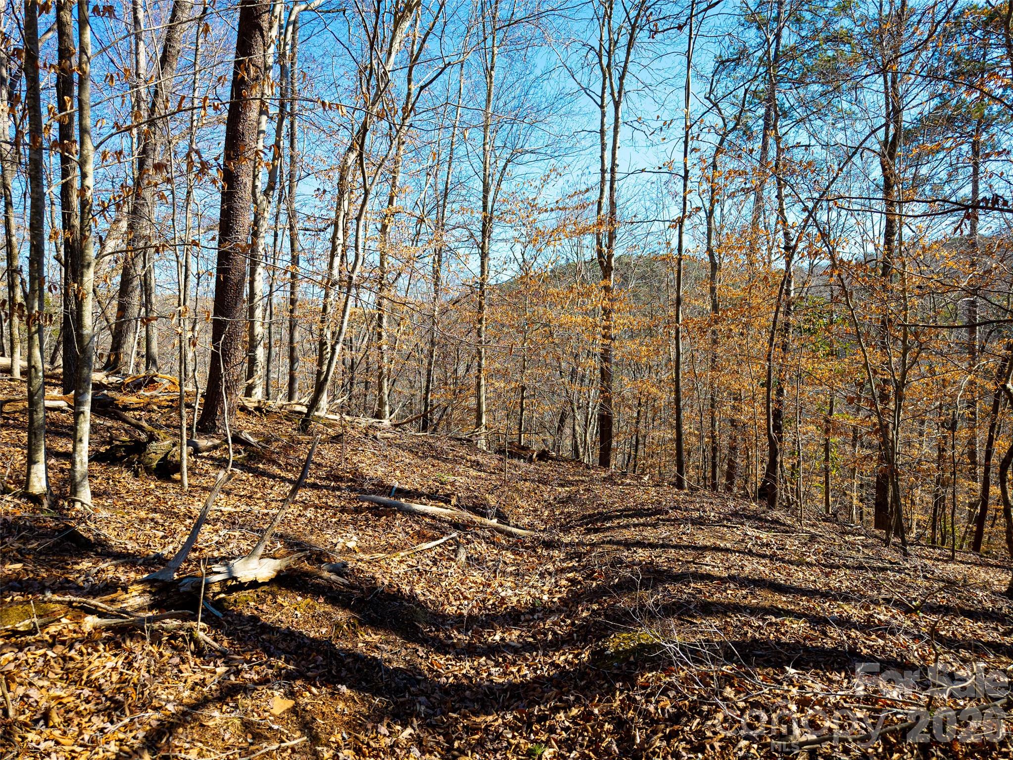 Acreage at TBD Rondo Ridge Road, Tryon, photo 13 of 21