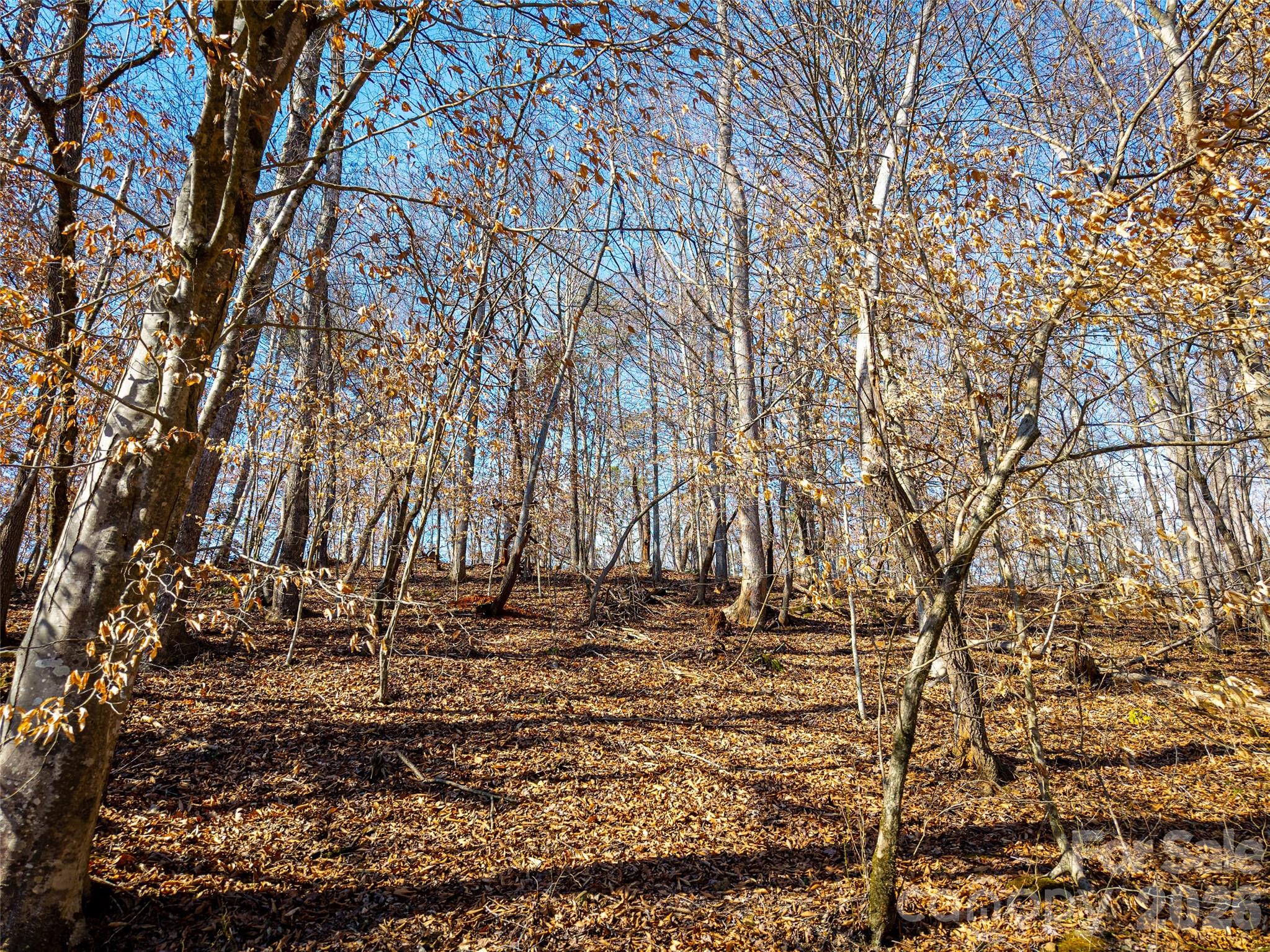Acreage at TBD Rondo Ridge Road, Tryon, photo 14 of 21