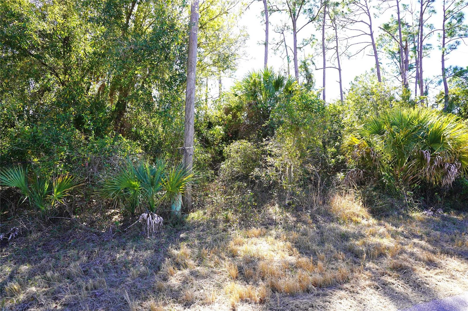 Land at SEDBERRY AVE, NORTH PORT, photo 2 of 25