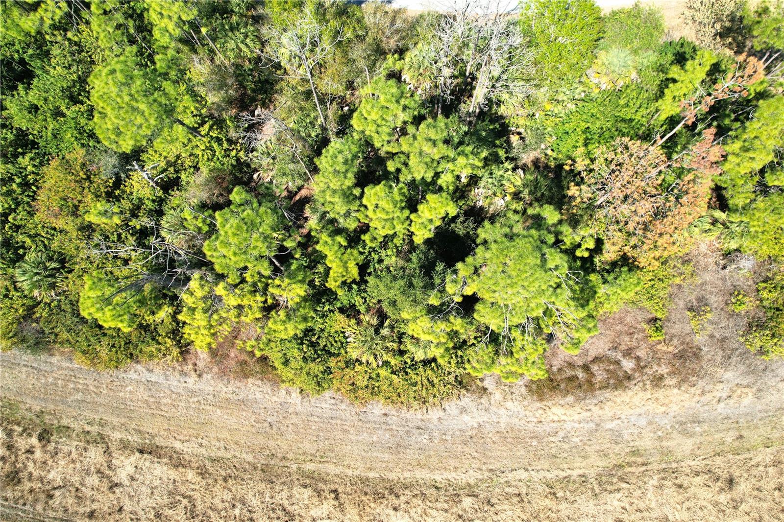 Land at SEDBERRY AVE, NORTH PORT, photo 7 of 25