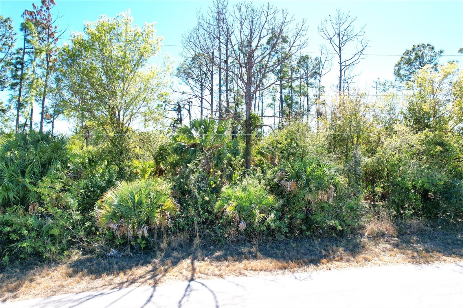 Land at SEDBERRY AVE, NORTH PORT, photo 9 of 25