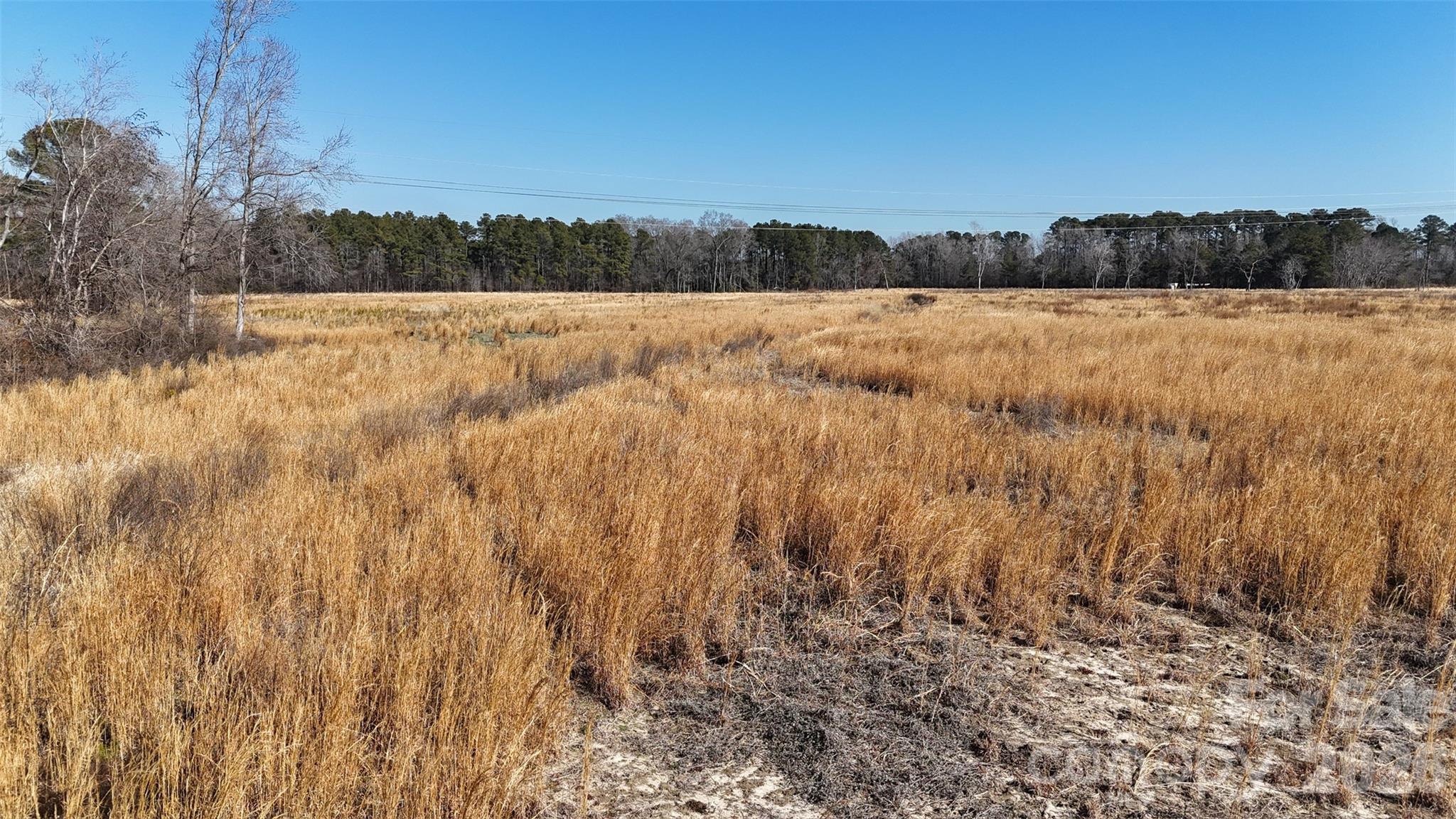 Acreage at 00 Division Place, Fayetteville, photo 5 of 31