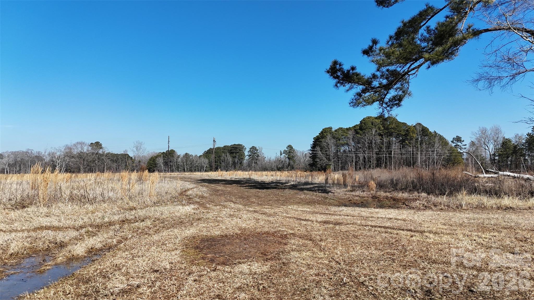 Acreage at 00 Division Place, Fayetteville, photo 8 of 31