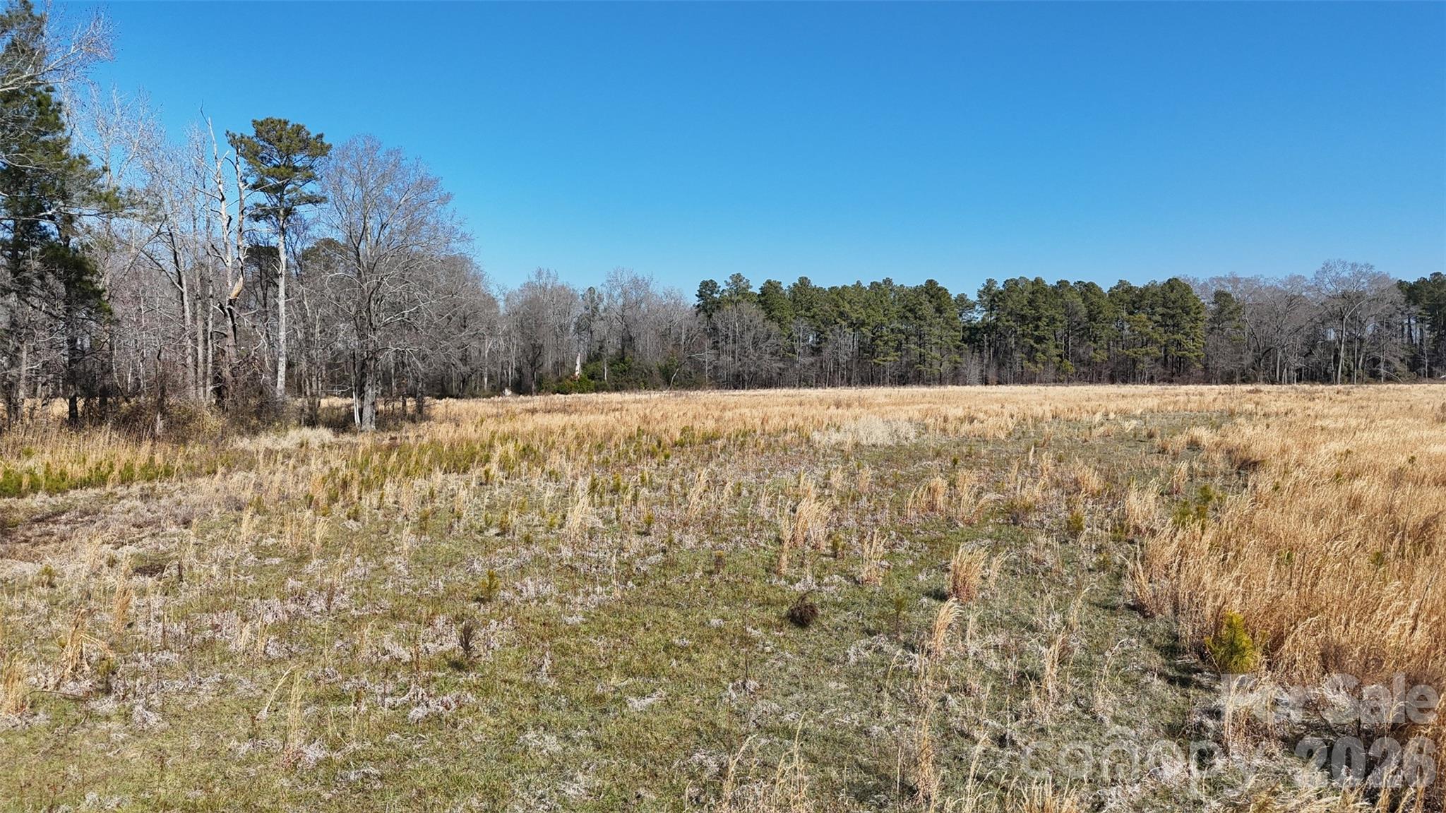 Acreage at 00 Division Place, Fayetteville, photo 11 of 31