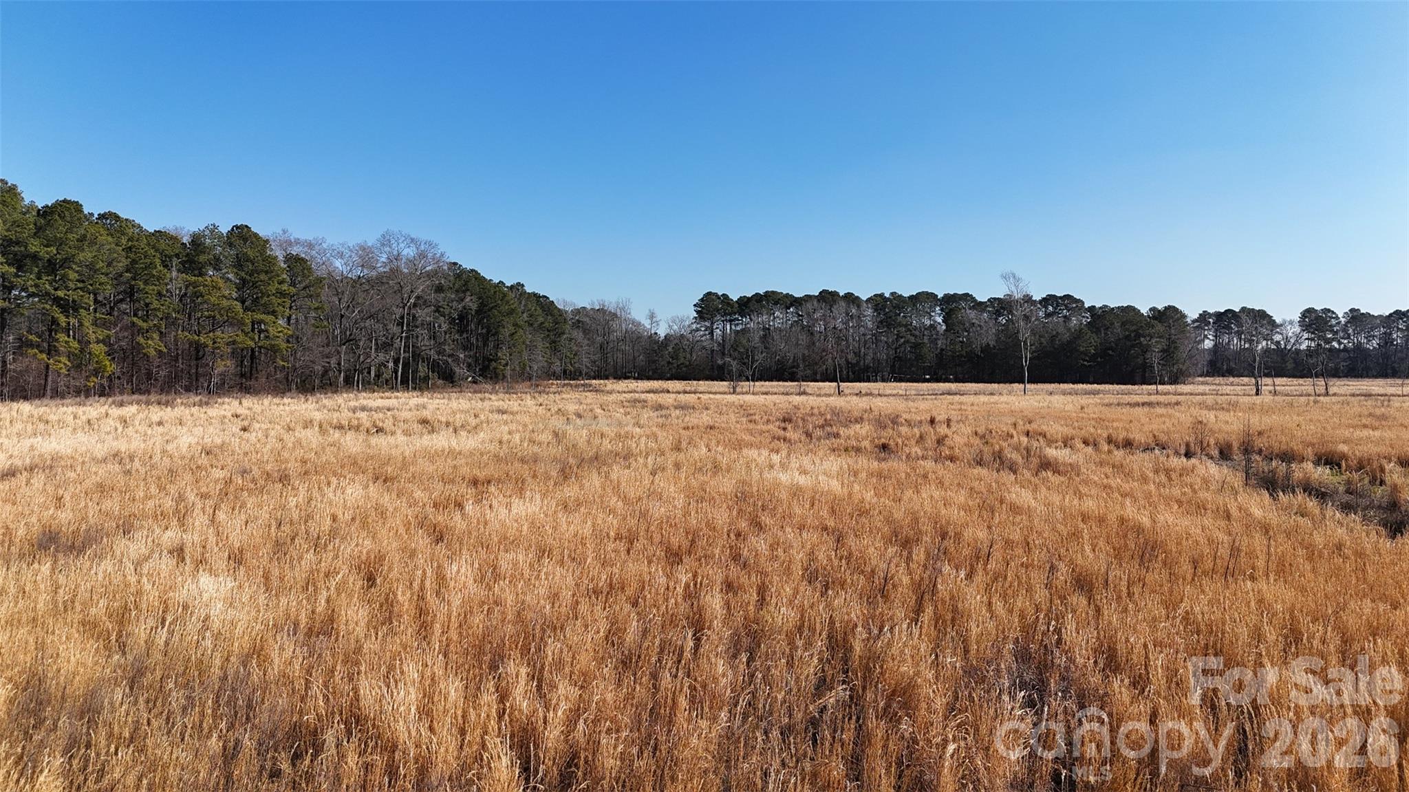 Acreage at 00 Division Place, Fayetteville, photo 17 of 31