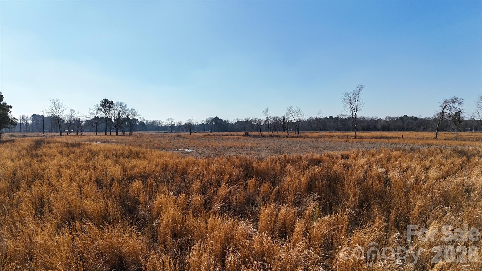 Acreage at 00 Division Place, Fayetteville, photo 18 of 31