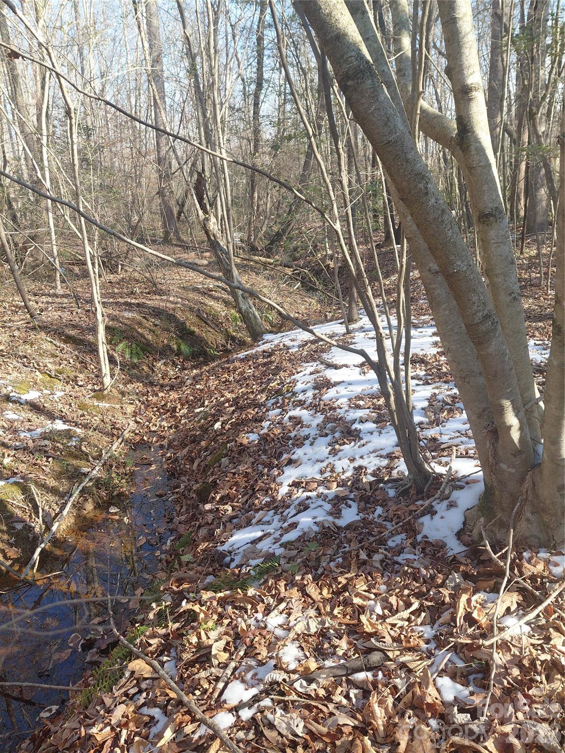 Lot at 3825 Wood Glen Drive, Morganton, photo 3 of 5