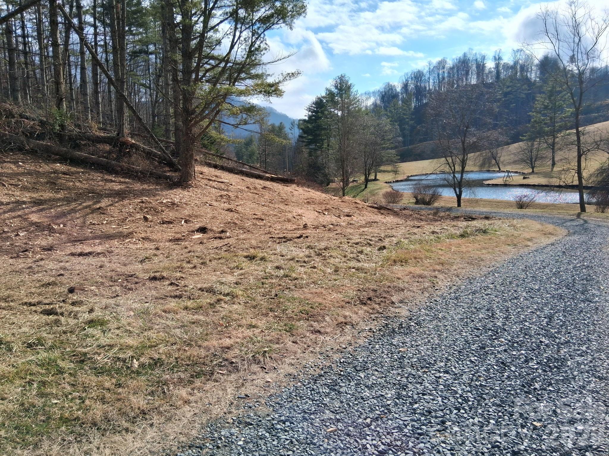 Beautiful spot! - 99999 Big Rock Creek Drive, Bakersville