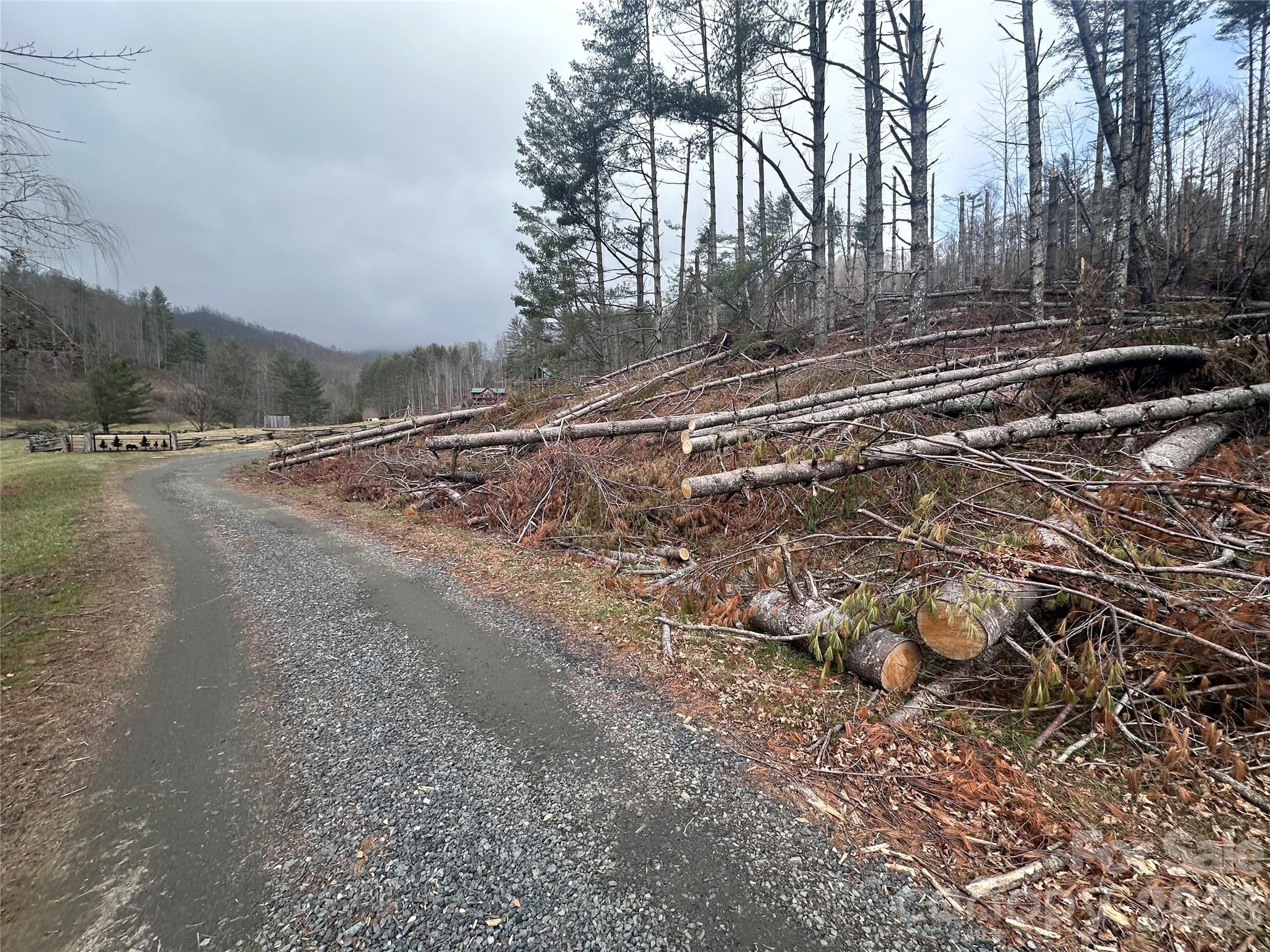 Fallen timber building space - 99999 Big Rock Creek Drive, Bakersville
