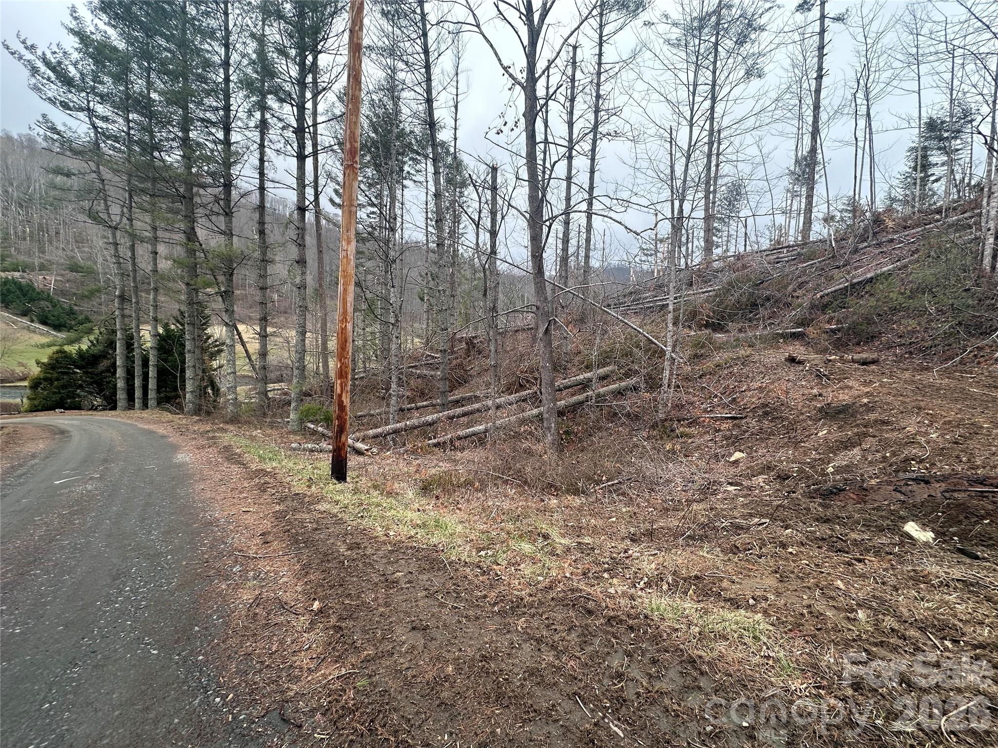 Entrance to logging road leading to wonderful building pad - 99999 Big Rock Creek Drive, Bakersville
