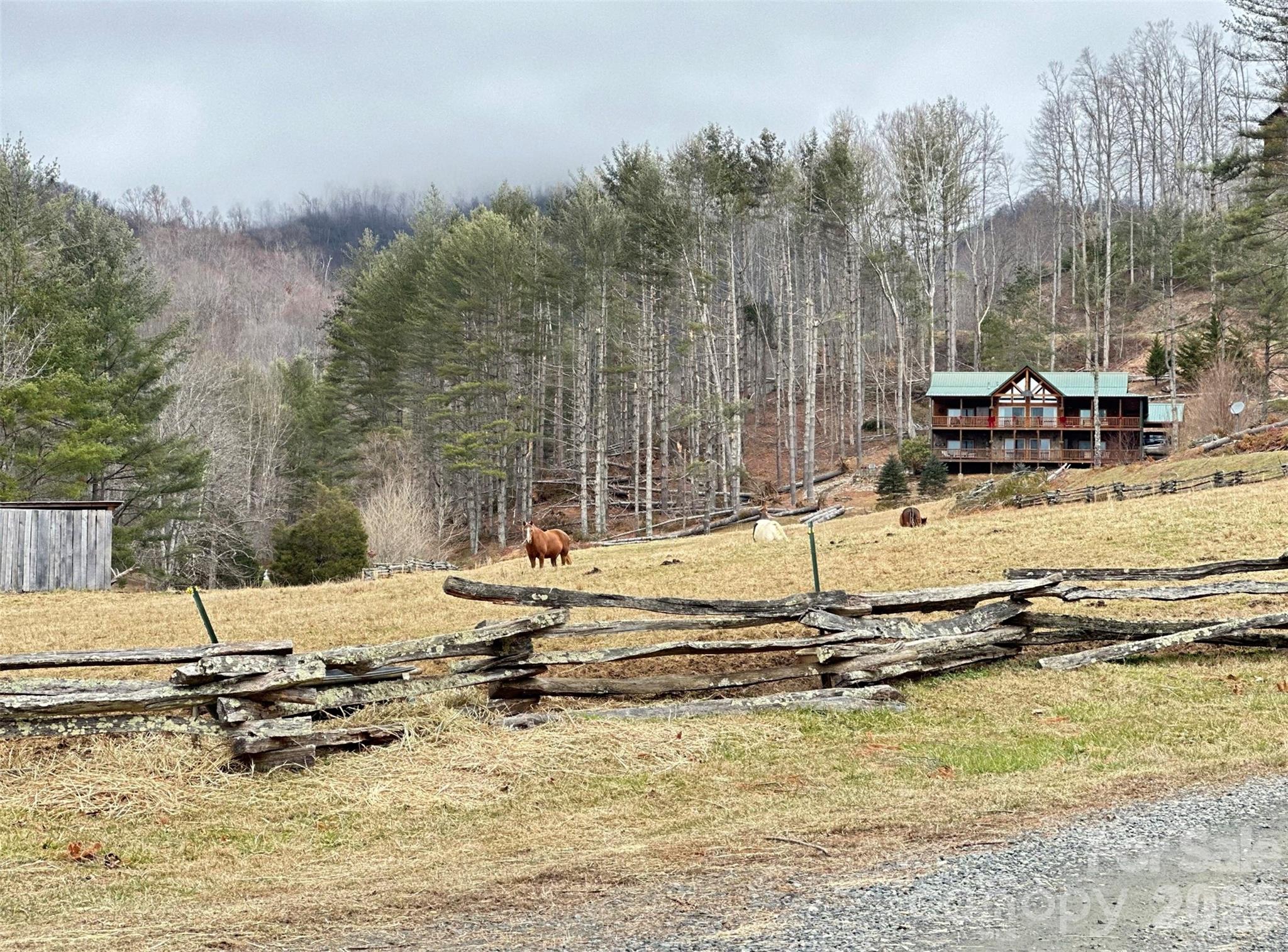 Take a look at the beautiful horses in Pasture in the common area of the subdivision - 99999 Big Rock Creek Drive, Bakersville