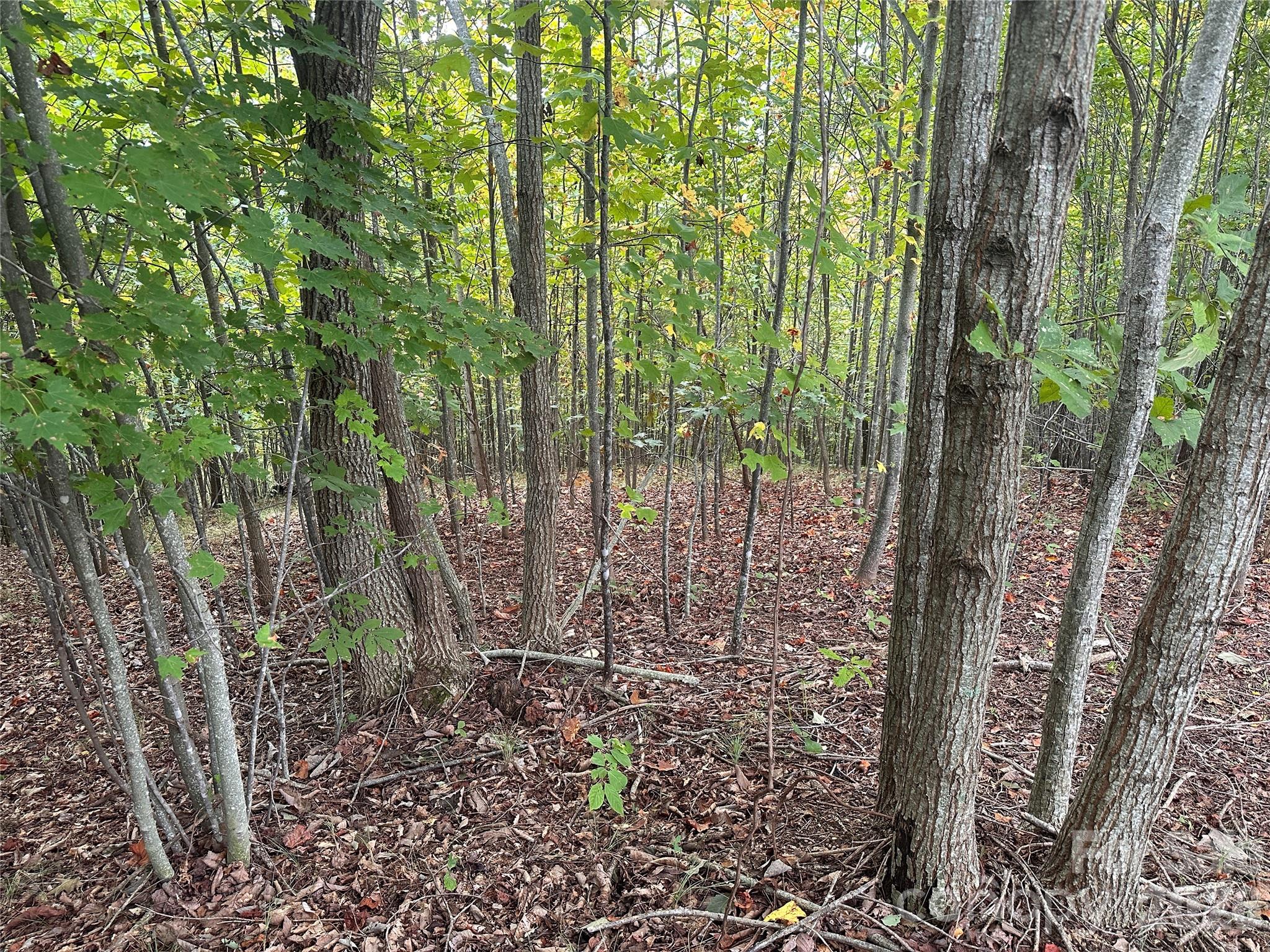 Lot at 311 Scenic Vista Drive, Nebo, photo 2 of 17