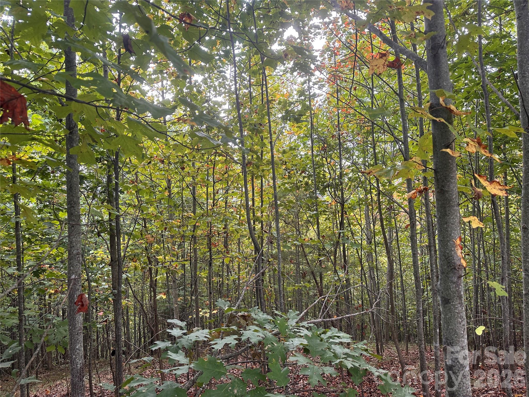 Lot at 311 Scenic Vista Drive, Nebo, photo 4 of 17