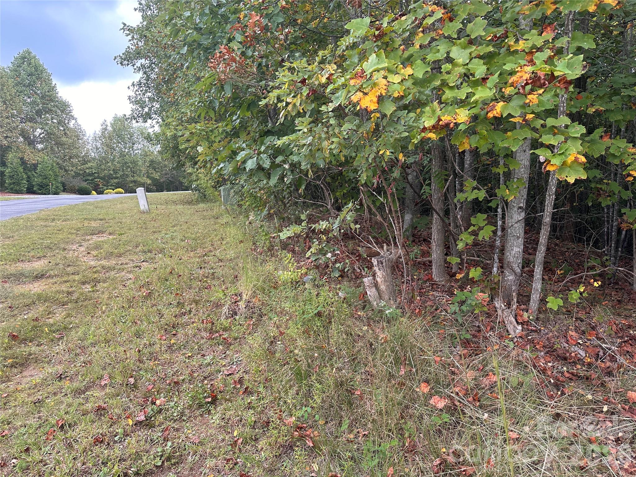 Lot at 311 Scenic Vista Drive, Nebo, photo 6 of 17