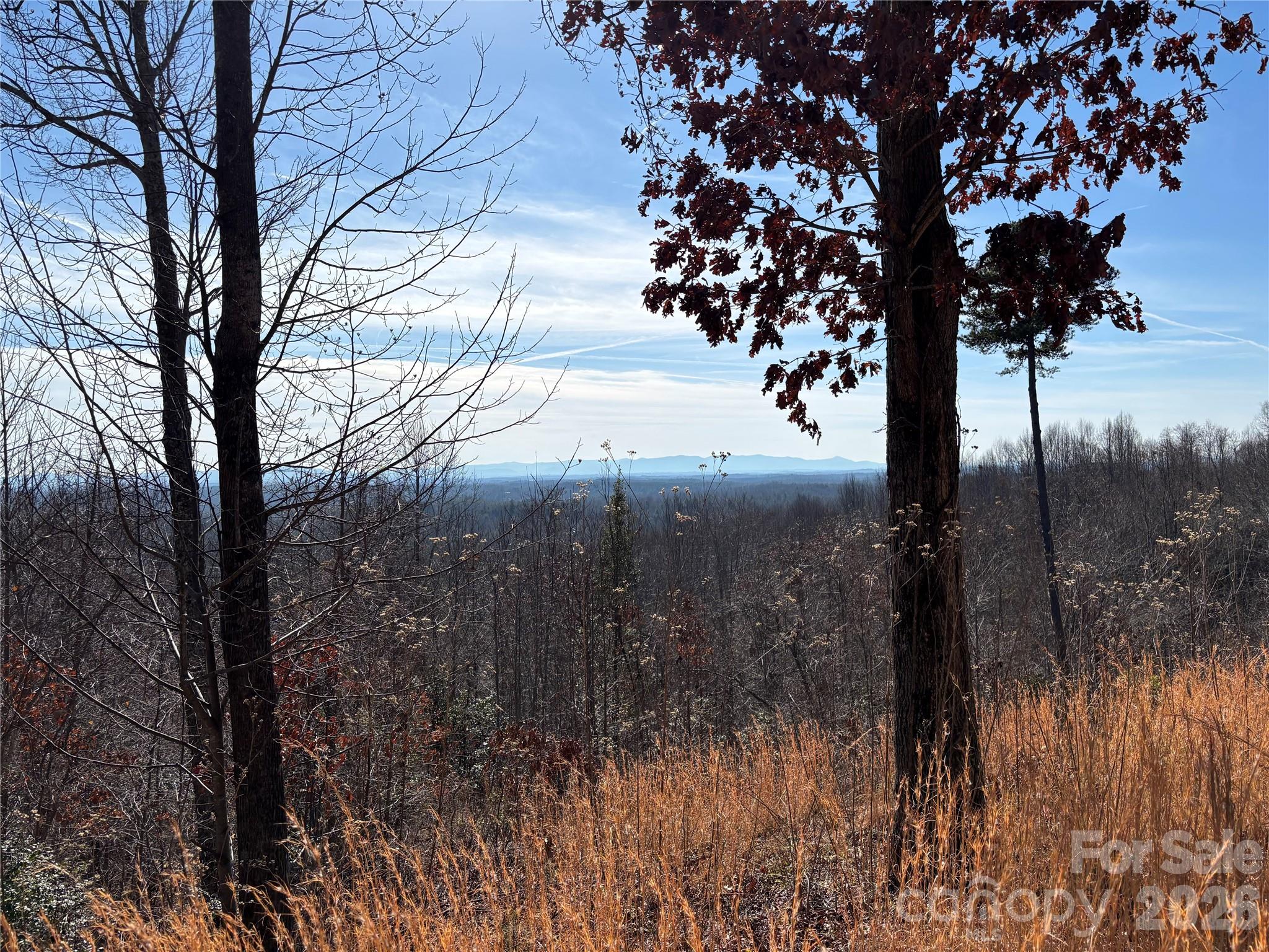Lot at 1234 Johns Ridge Parkway, Lenoir, photo 9 of 29
