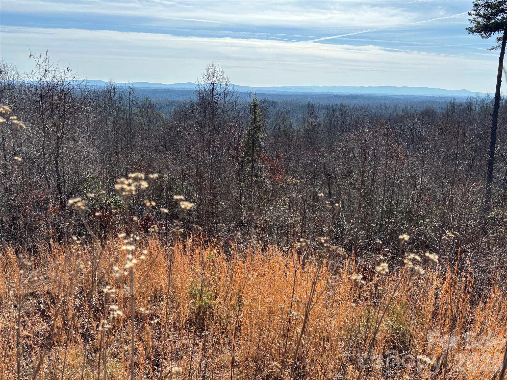 Lot at 1234 Johns Ridge Parkway, Lenoir, photo 10 of 29