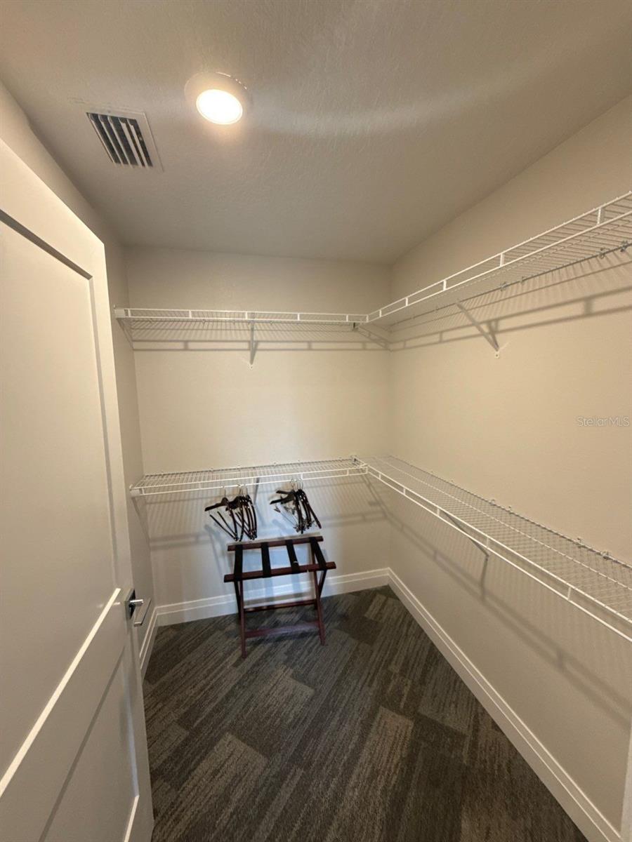 Bedroom 2 Closet - 14501 GROVE RESORT AVE #2604, WINTER GARDEN