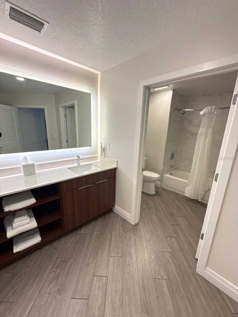 Bathroom 2 - 14501 GROVE RESORT AVE #2604, WINTER GARDEN