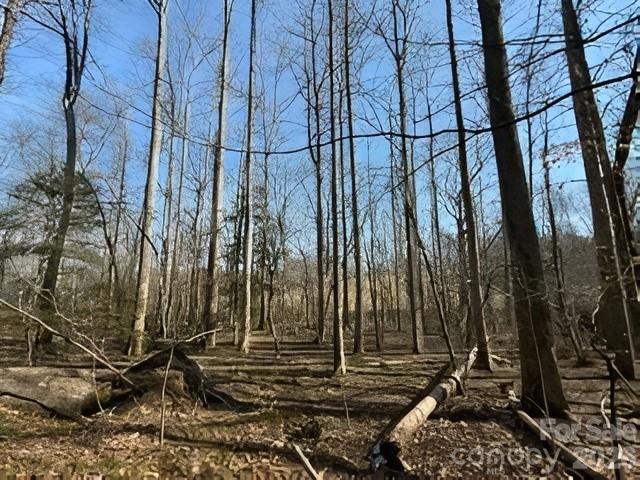 Lot at 3825 Wood Glen Drive, Morganton, photo 4 of 5