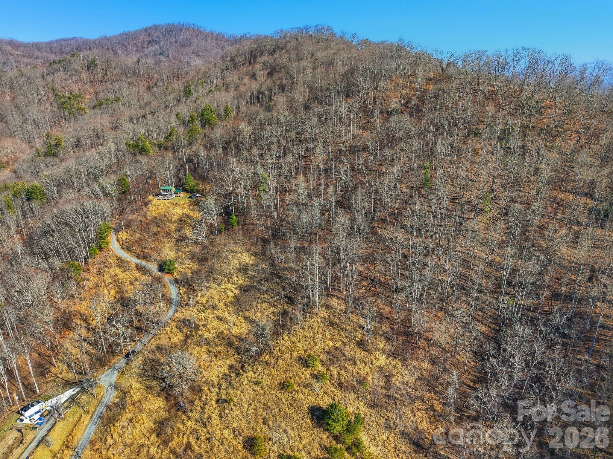 Lot at 99999 Morgan Branch Road, Marshall, photo 5 of 16