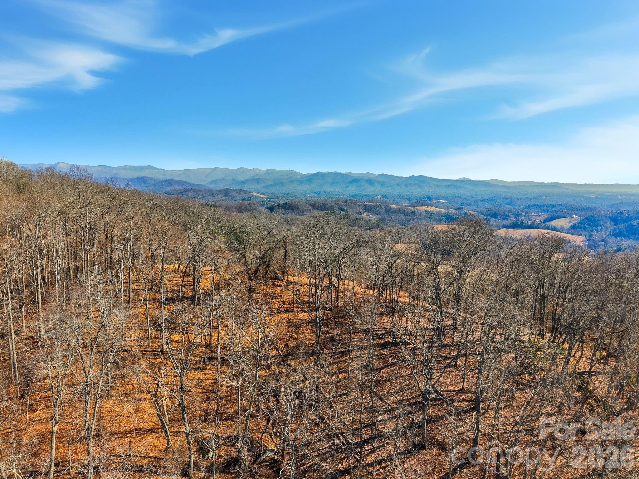 Lot at 99999 Morgan Branch Road, Marshall, photo 6 of 16