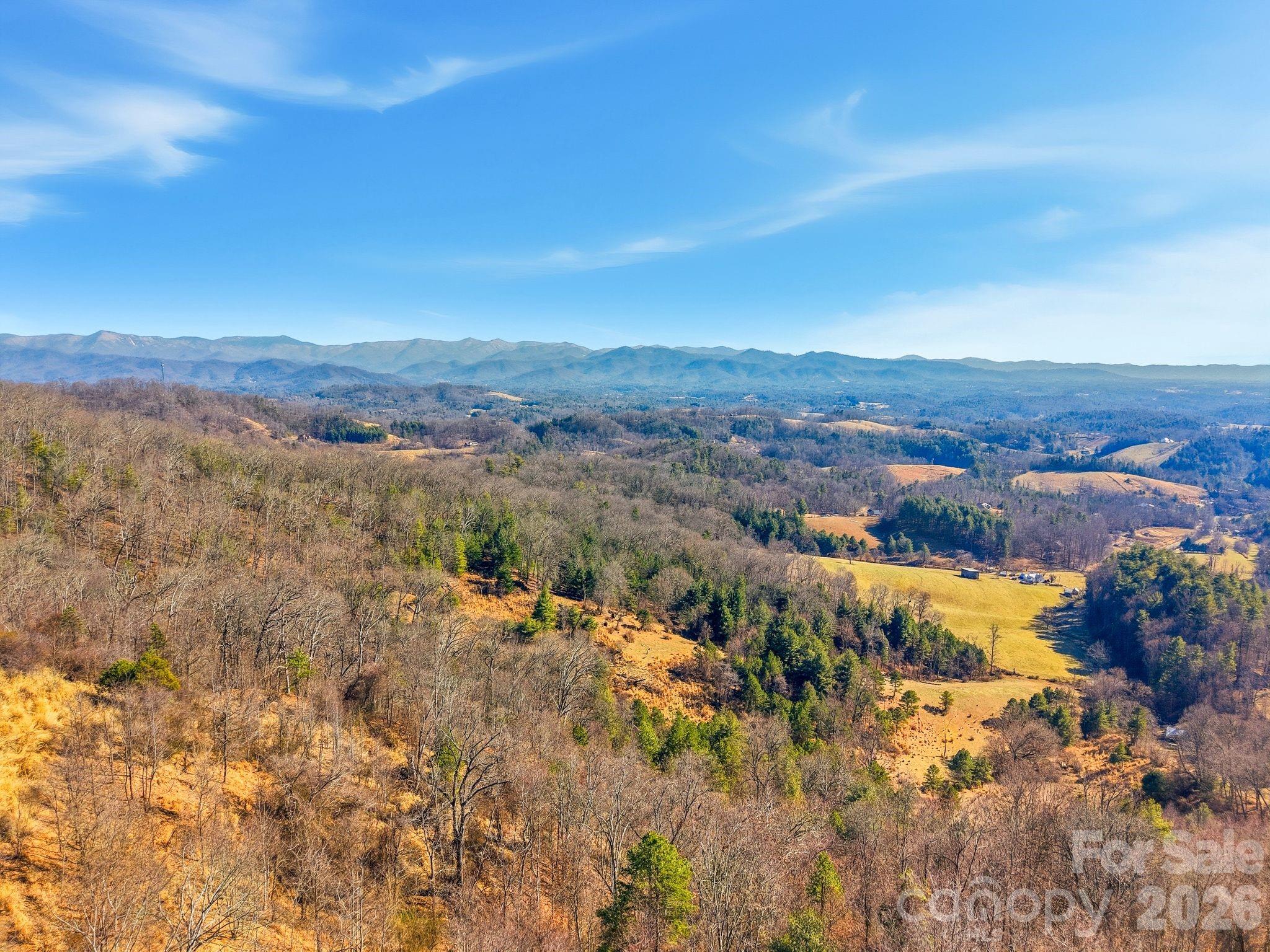 Lot at 99999 Morgan Branch Road, Marshall, photo 7 of 16