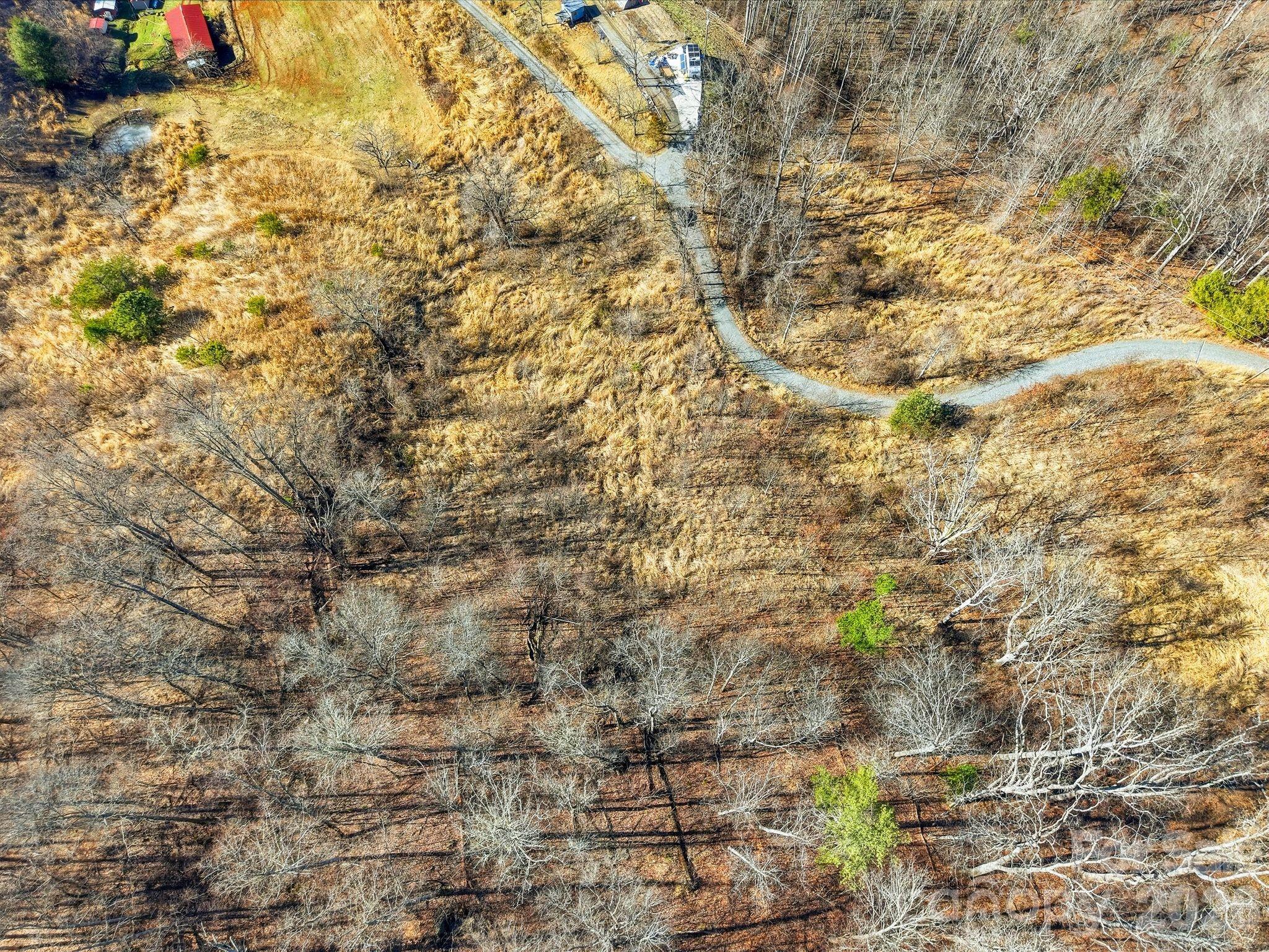 Lot at 99999 Morgan Branch Road, Marshall, photo 11 of 16