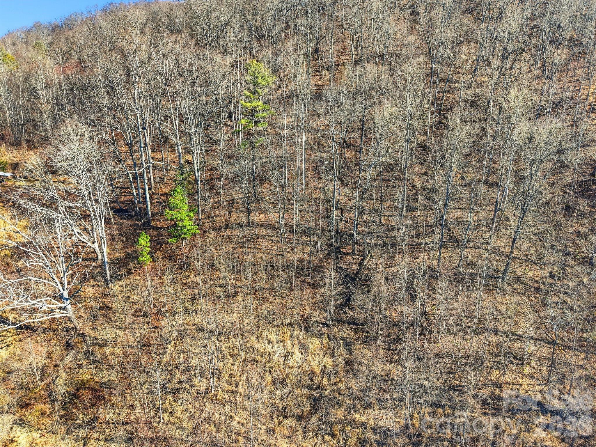 Lot at 99999 Morgan Branch Road, Marshall, photo 12 of 16
