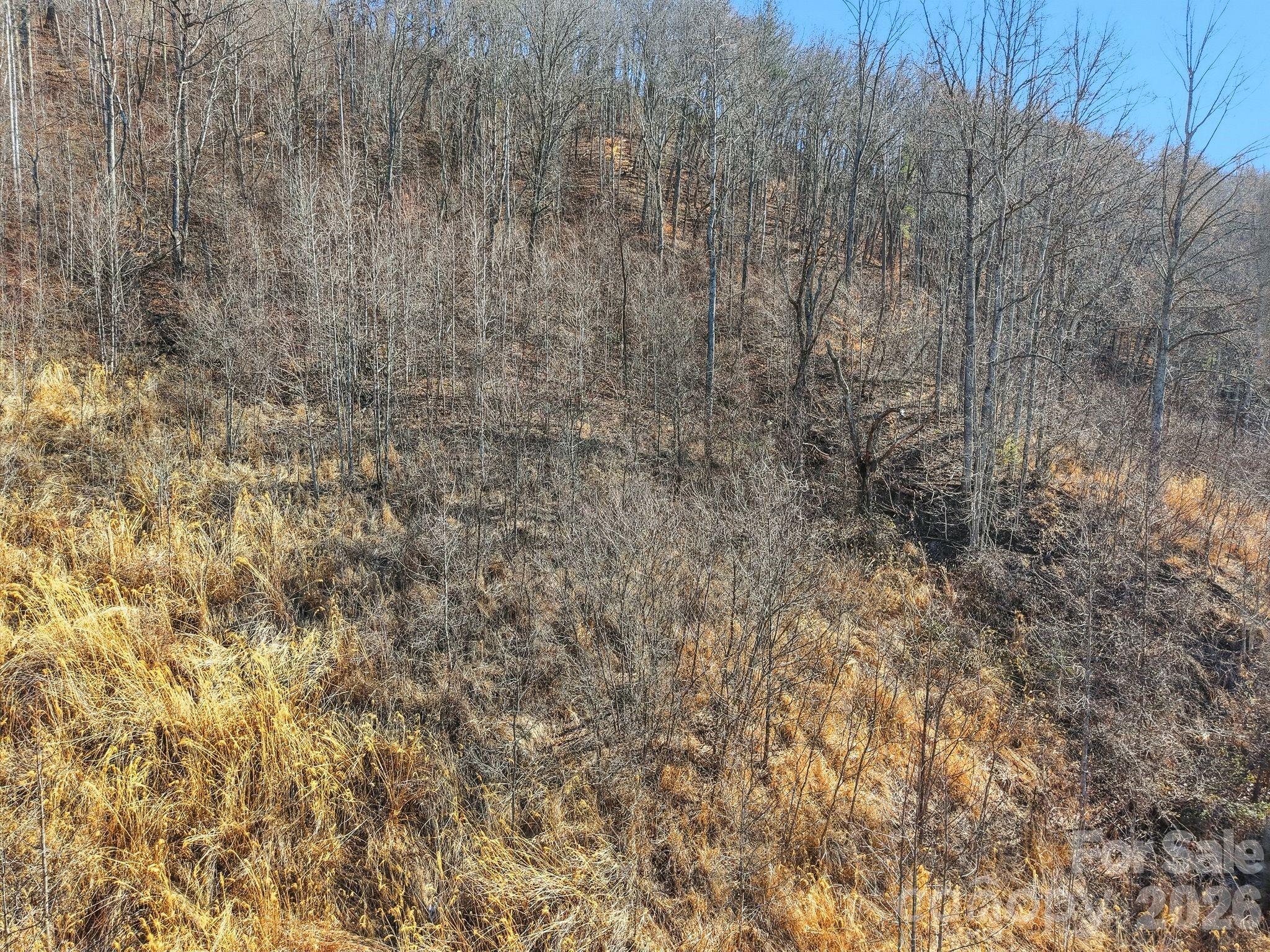 Lot at 99999 Morgan Branch Road, Marshall, photo 13 of 16