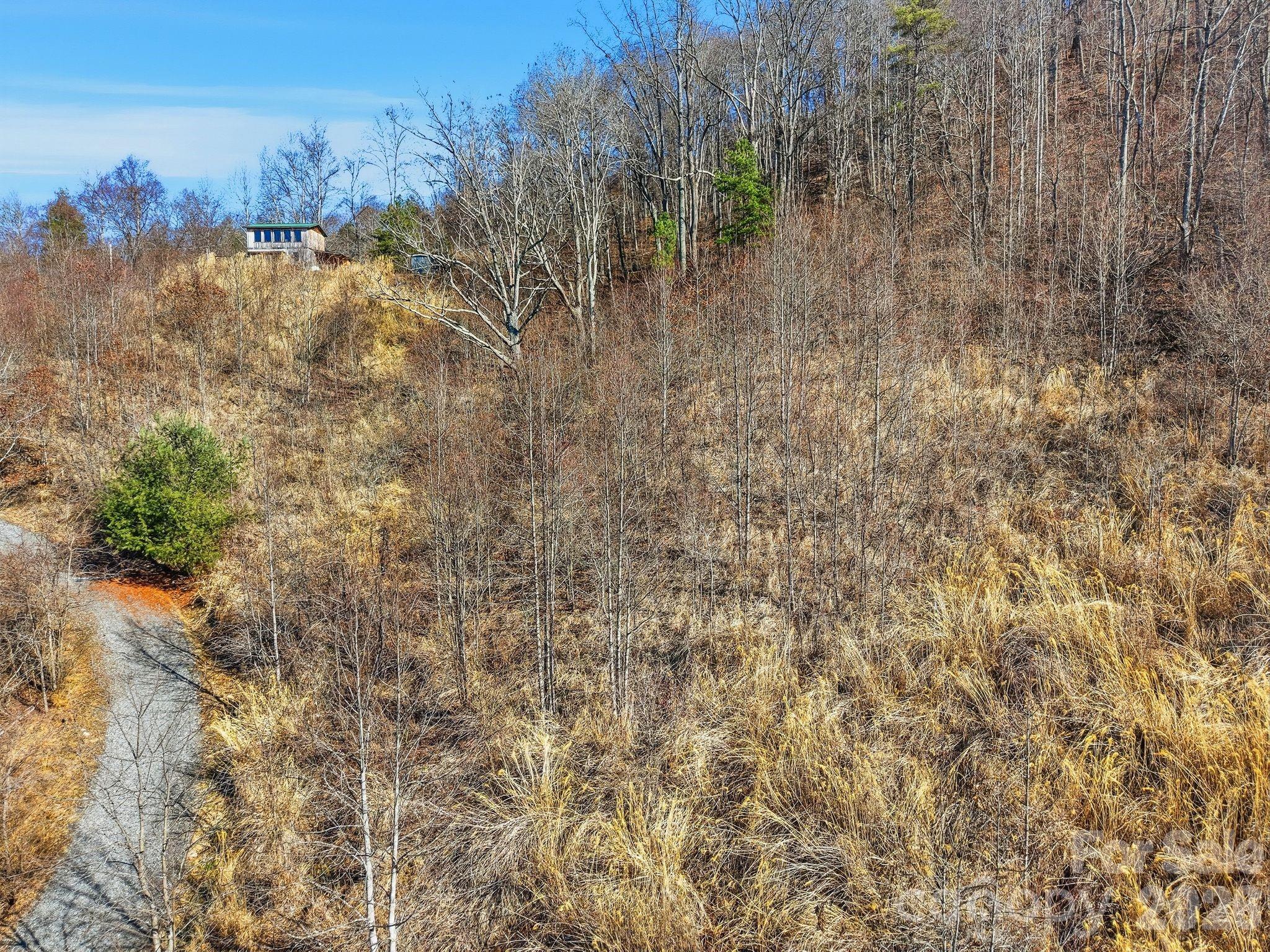 Lot at 99999 Morgan Branch Road, Marshall, photo 14 of 16