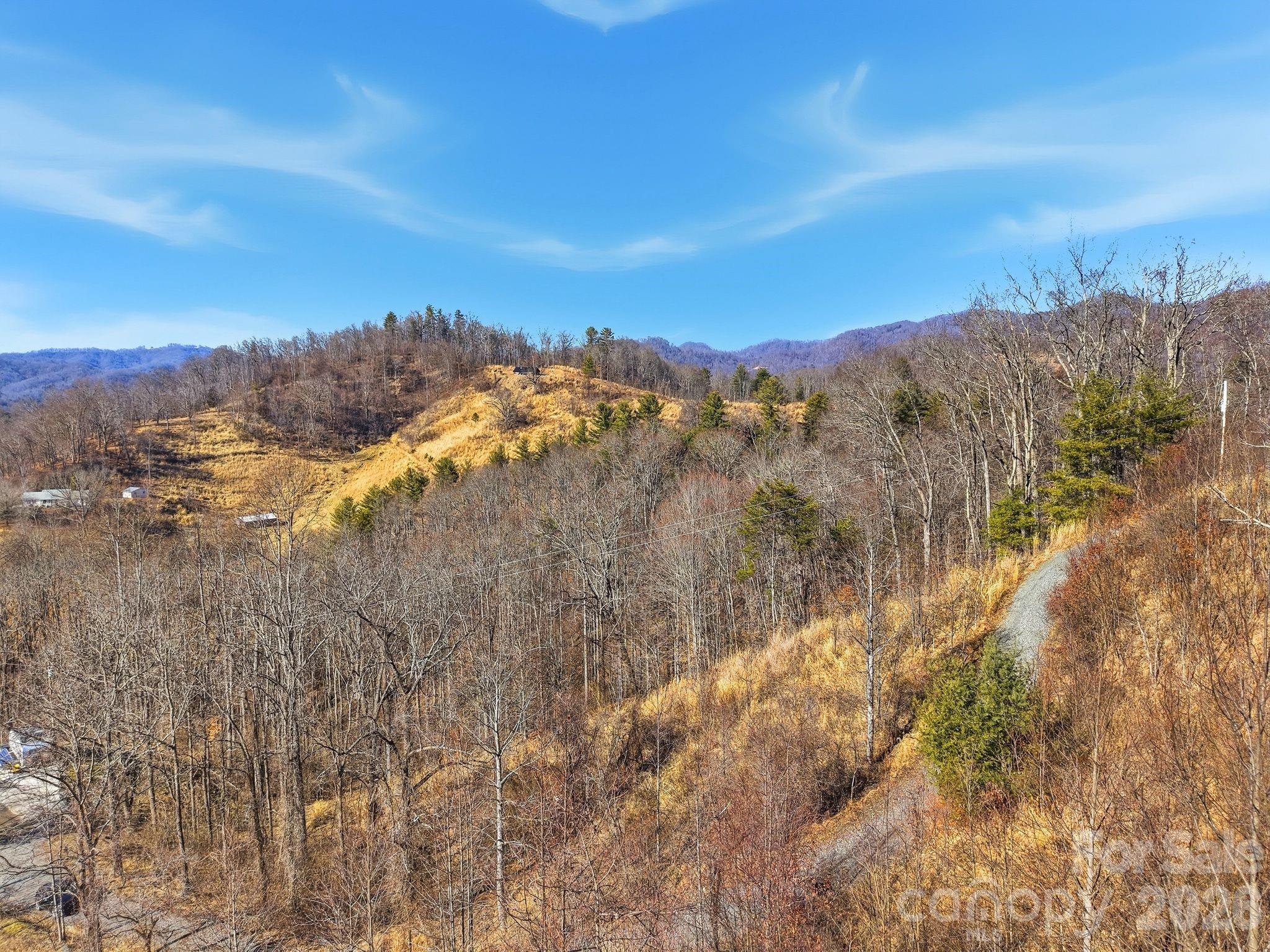 Lot at 99999 Morgan Branch Road, Marshall, photo 16 of 16