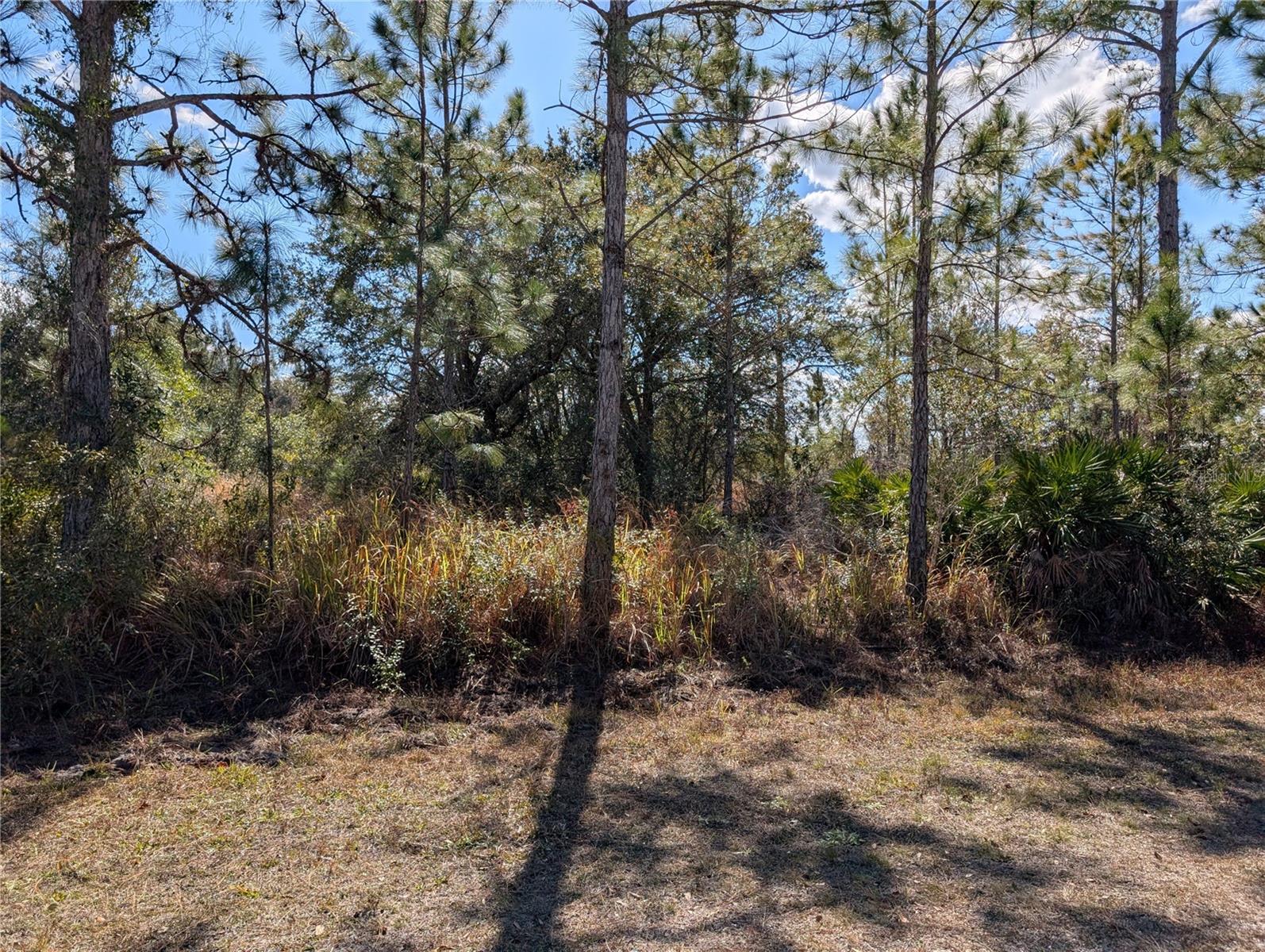 711 AZALEA DR