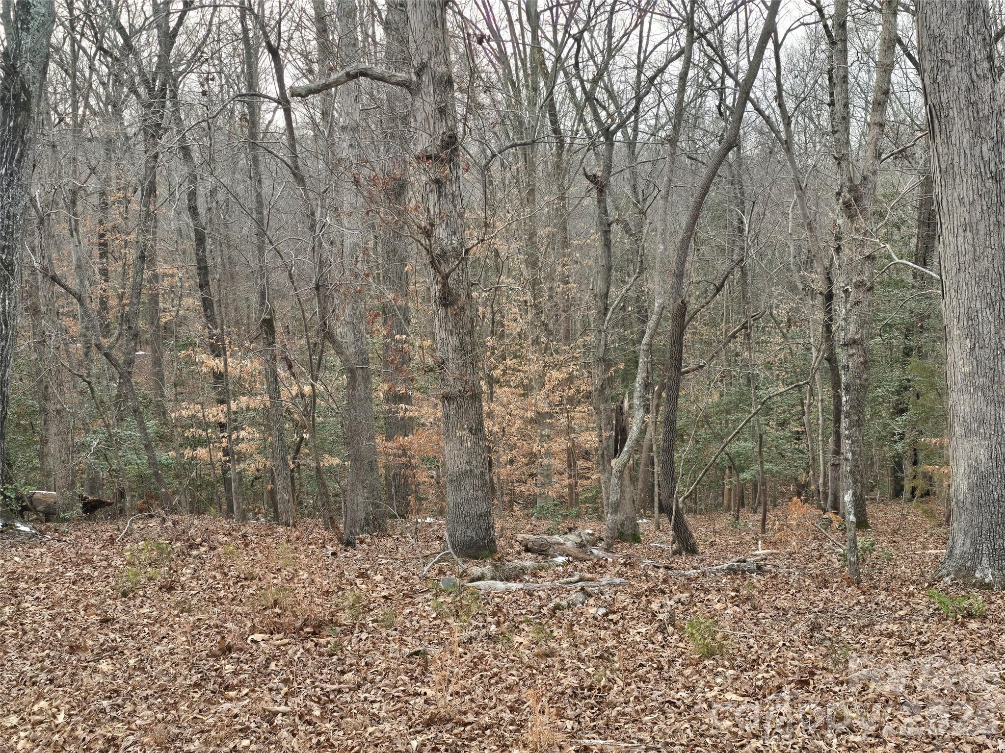 Lot at 301 Chinkapin Road, Troy, photo 2 of 7