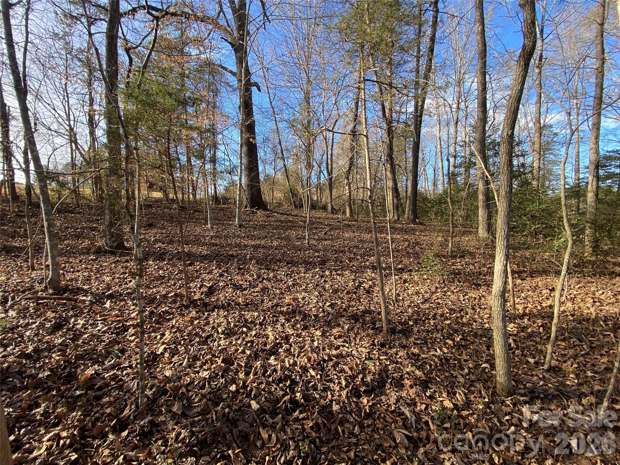 Acreage at 0 US Hwy 64/74A Highway, Rutherfordton, photo 2 of 12