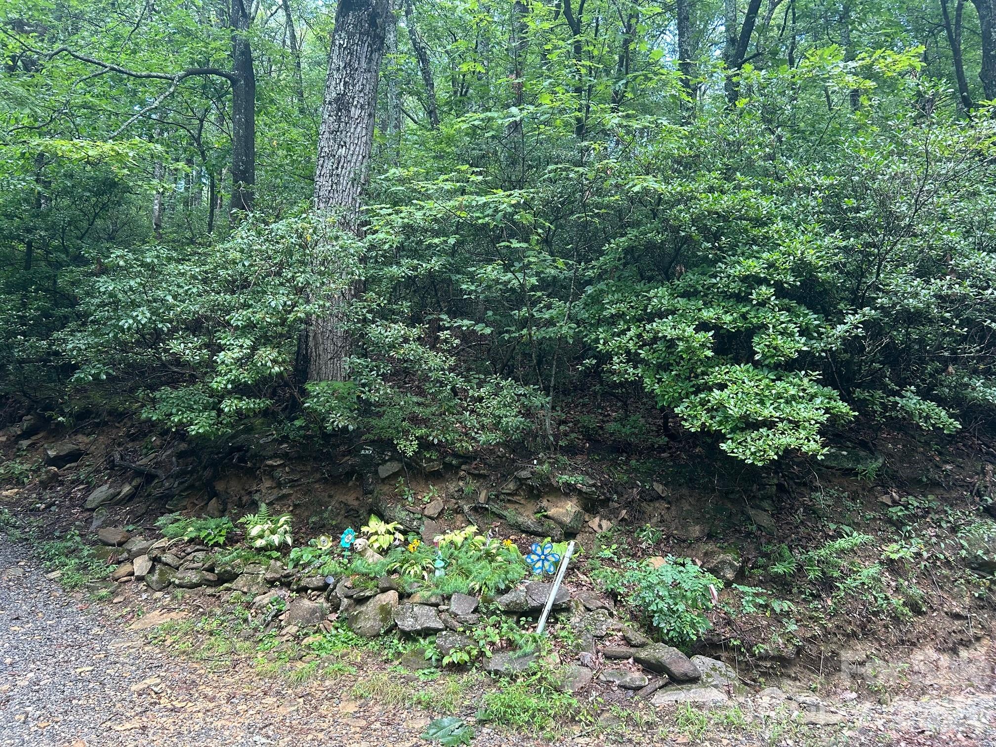 Lot at 0 Pine Ridge Road, Hendersonville, photo 3 of 20