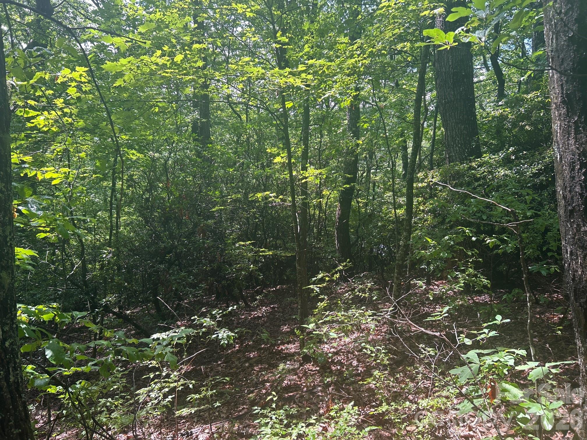 Lot at 0 Pine Ridge Road, Hendersonville, photo 4 of 20