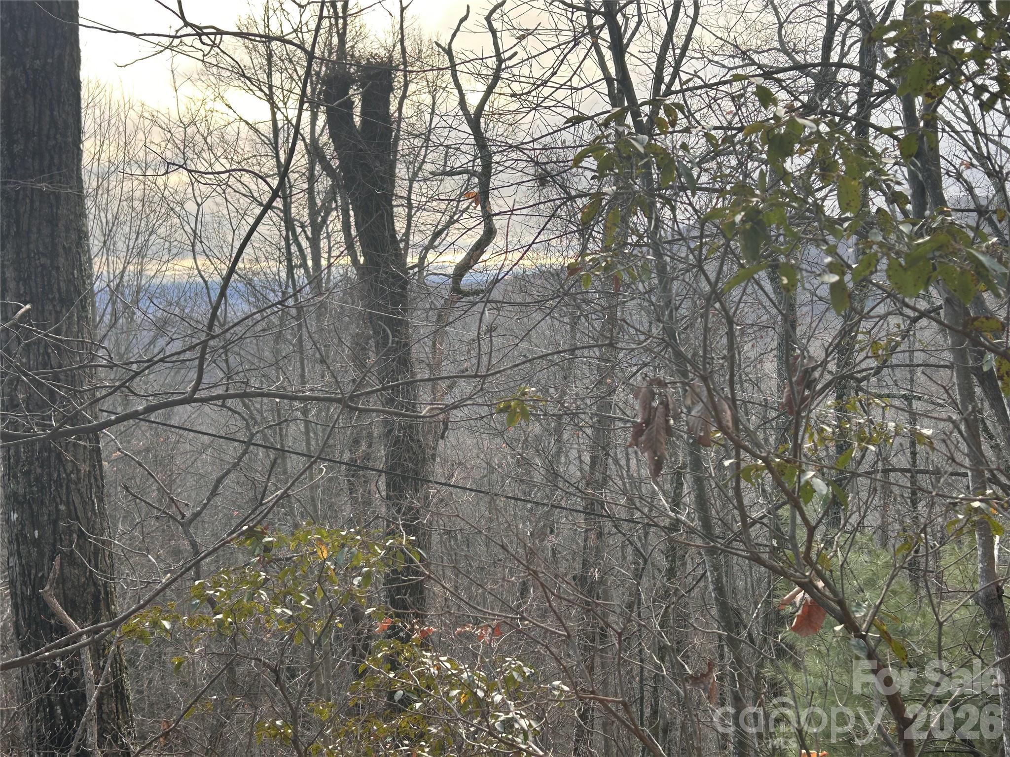 Lot at 0 Pine Ridge Road, Hendersonville, photo 2 of 20