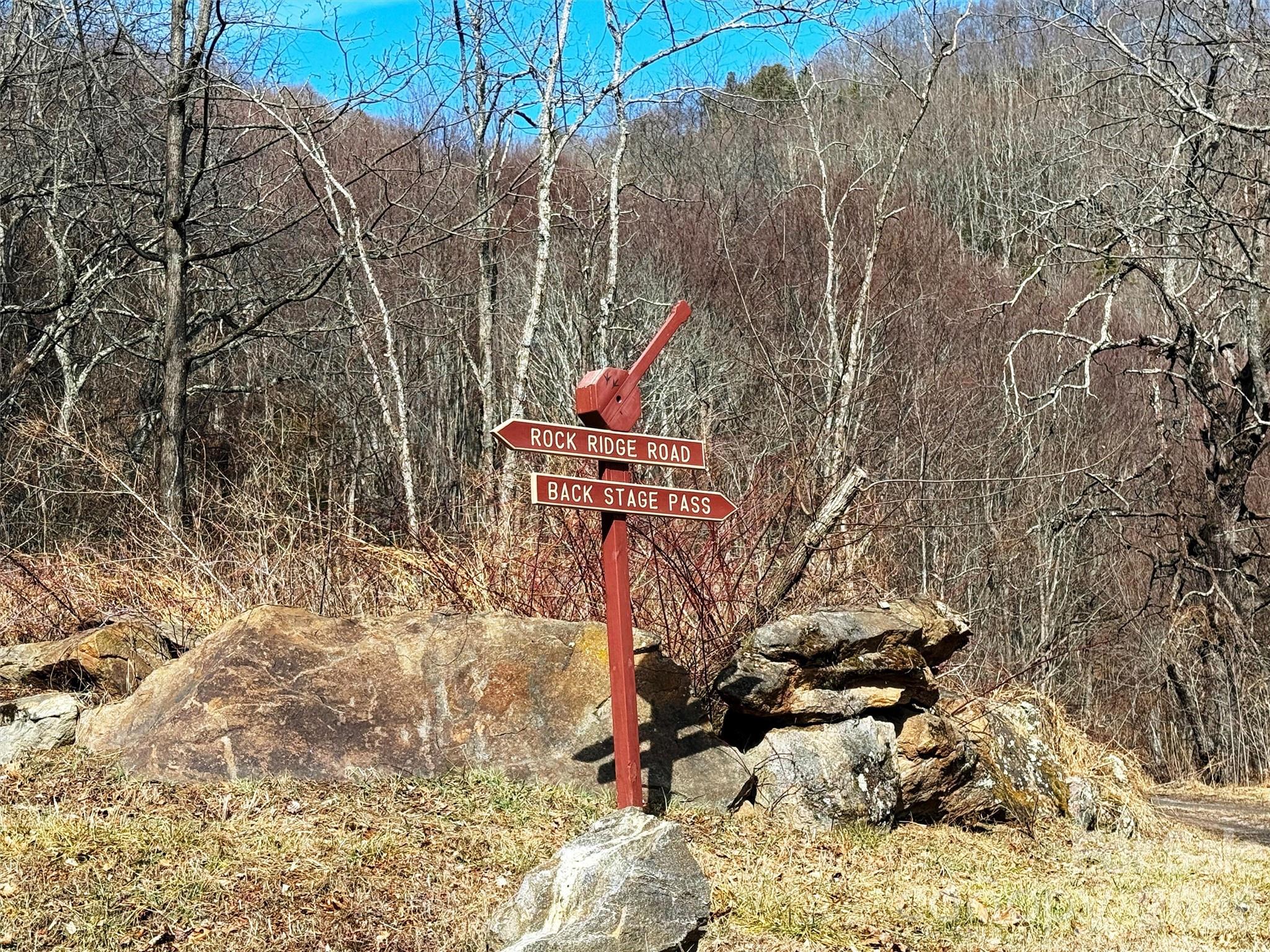 Lot at TBD Rock Ridge Road, Leicester, photo 5 of 35