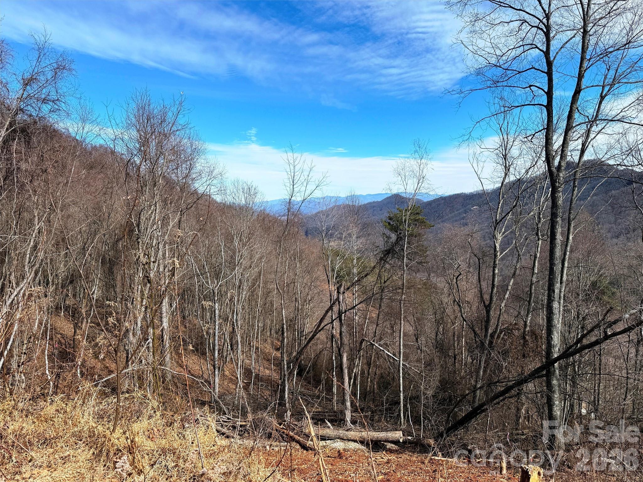 Lot at TBD Rock Ridge Road, Leicester, photo 18 of 35