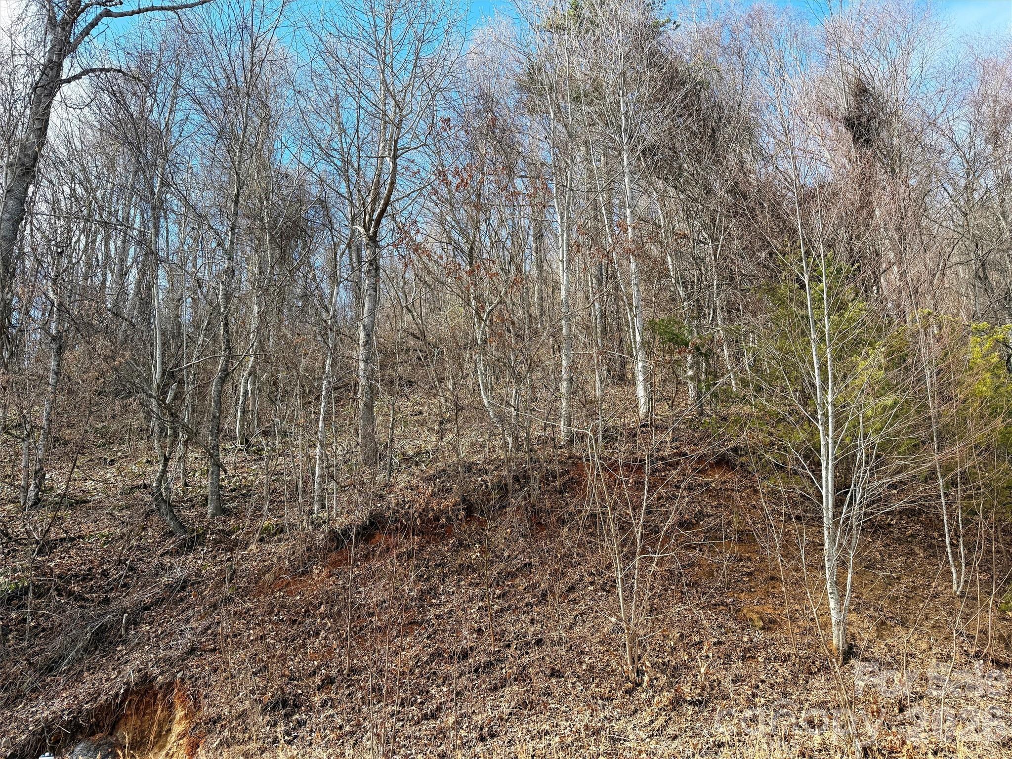 Lot at TBD Rock Ridge Road, Leicester, photo 20 of 35