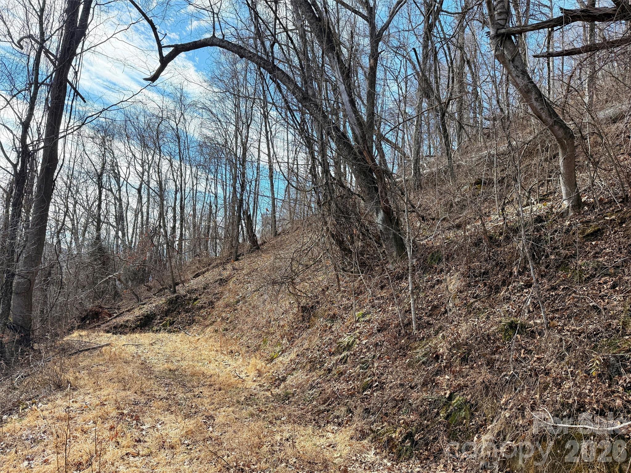Lot at TBD Rock Ridge Road, Leicester, photo 25 of 35