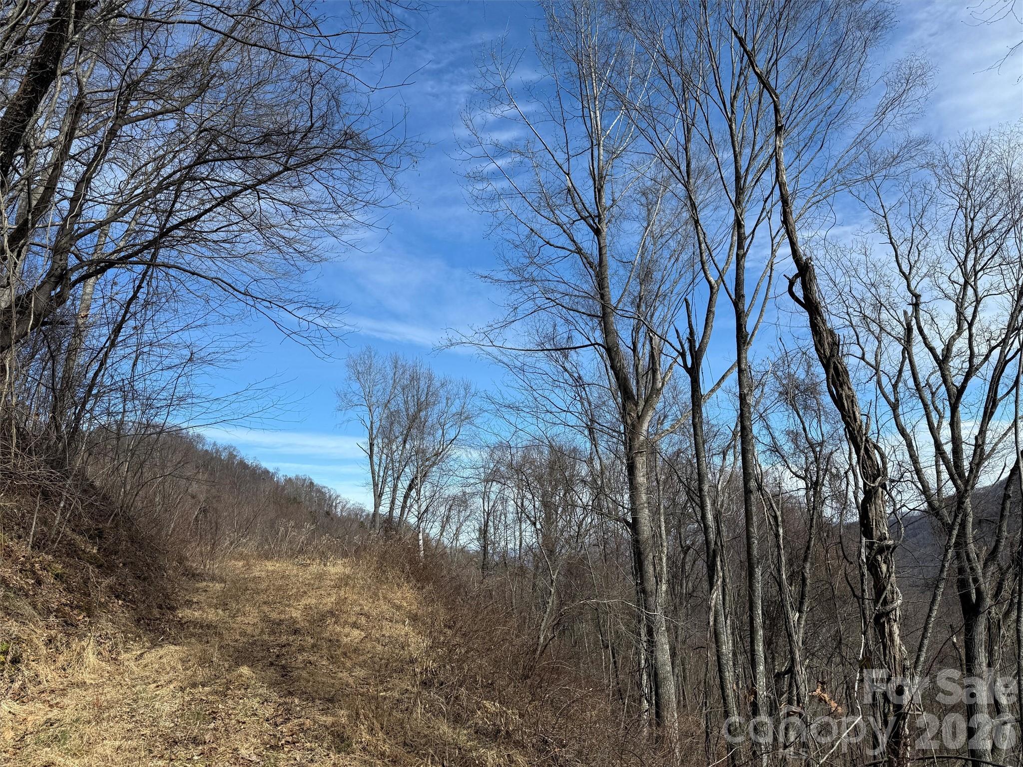 Lot at TBD Rock Ridge Road, Leicester, photo 26 of 35