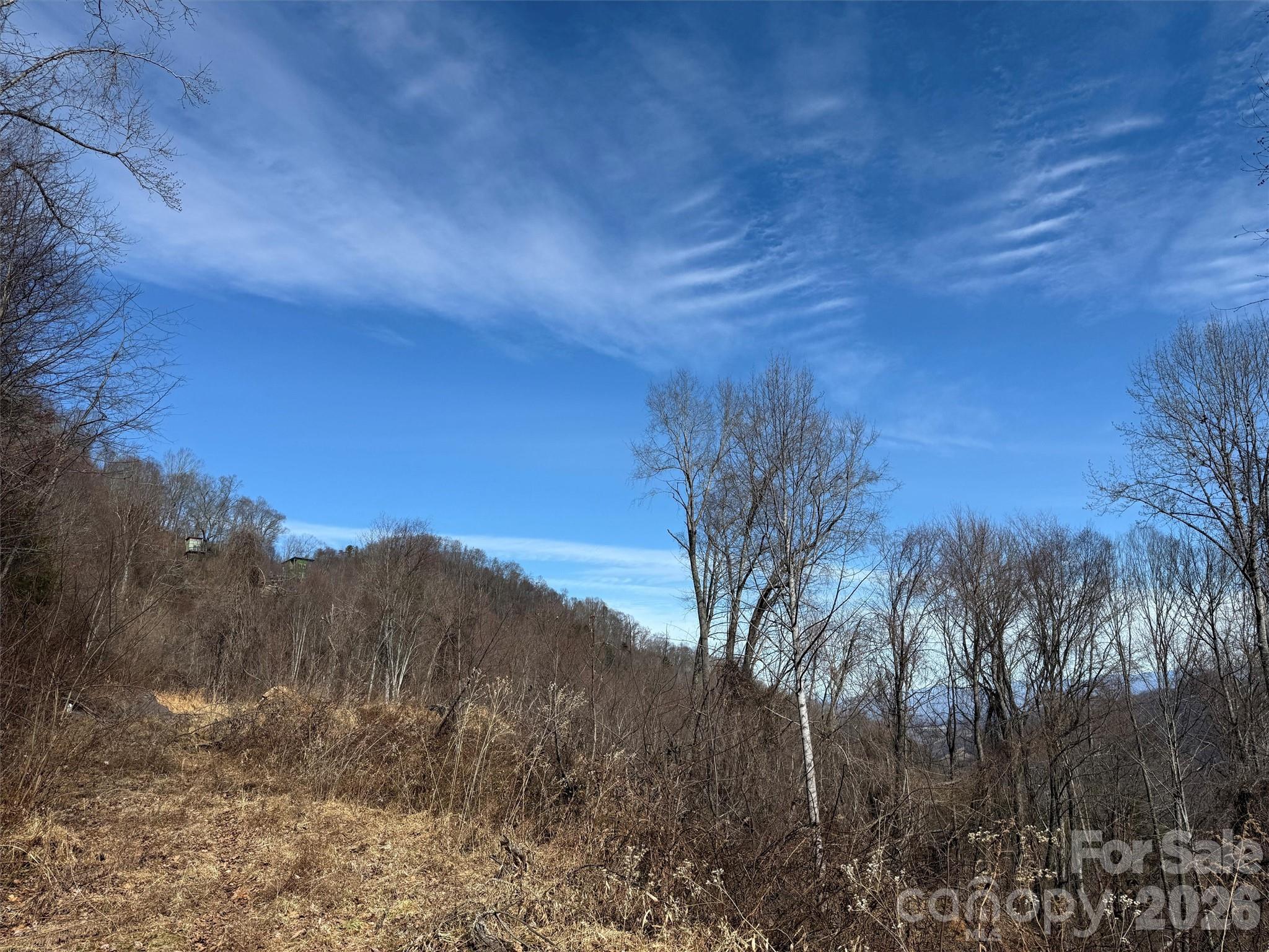 Lot at TBD Rock Ridge Road, Leicester, photo 28 of 35