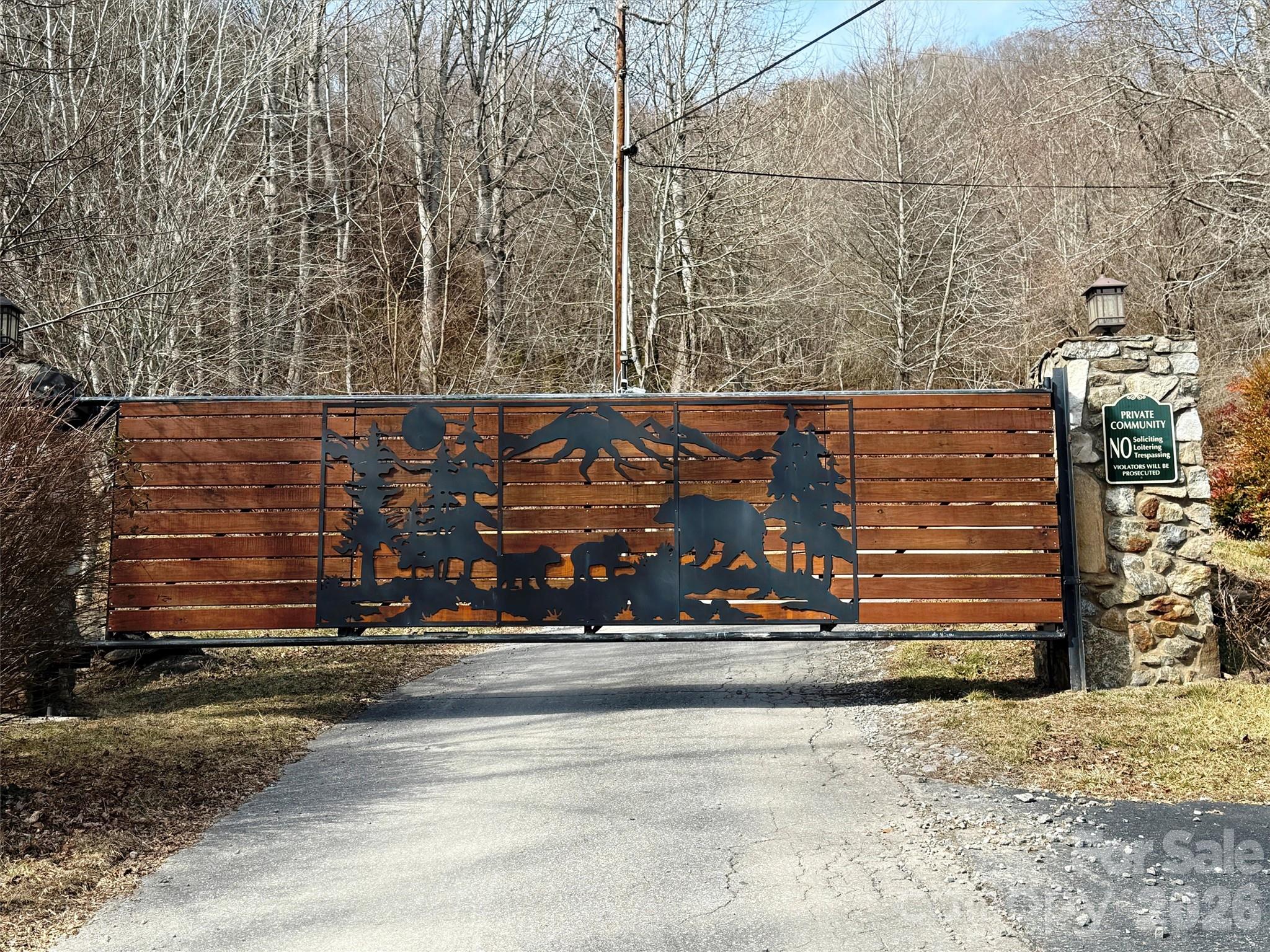 Lot at TBD Rock Ridge Road, Leicester, photo 31 of 35