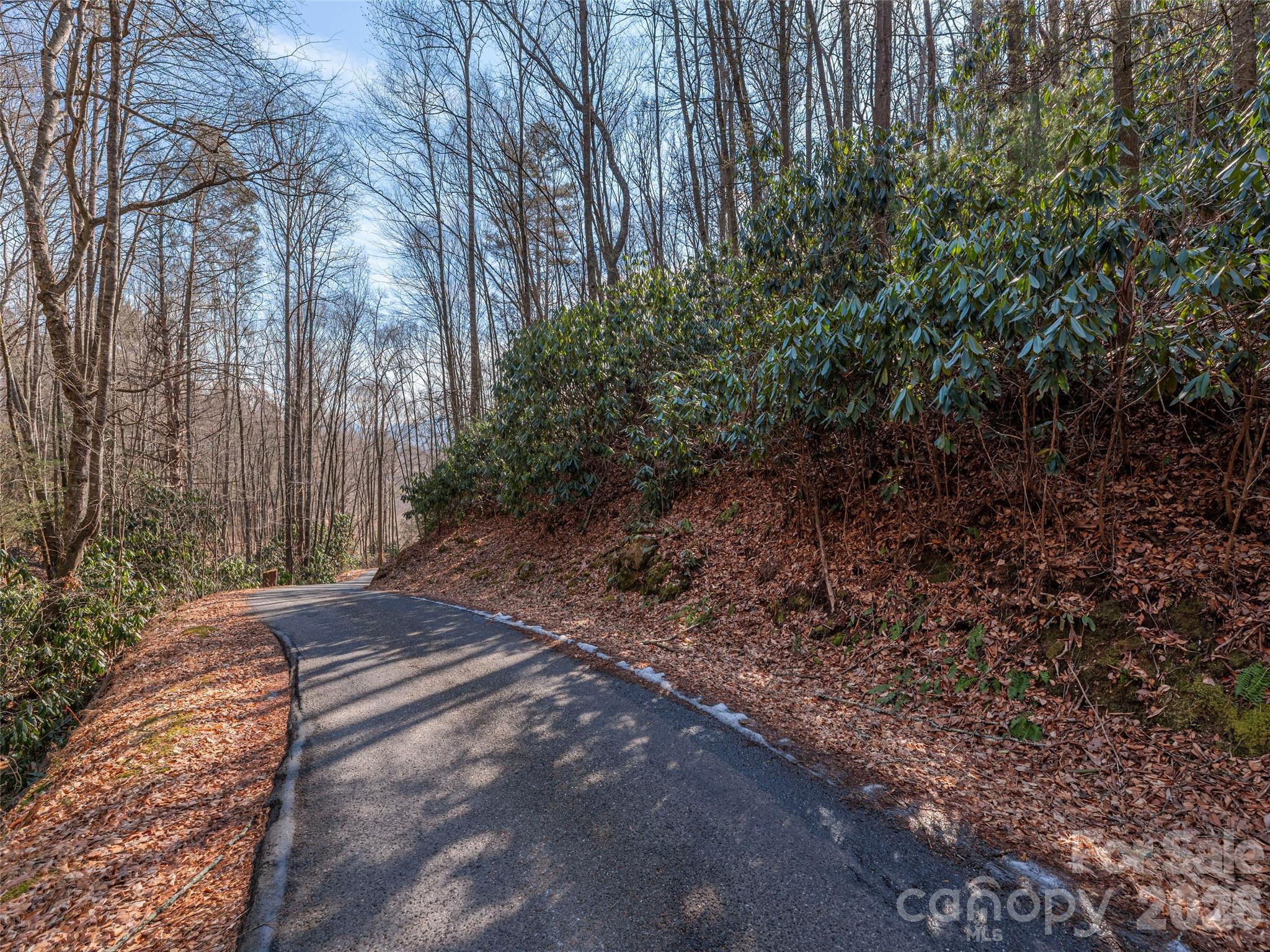 Lot at 0 Coyote Hollow Road, Waynesville, photo 2 of 12