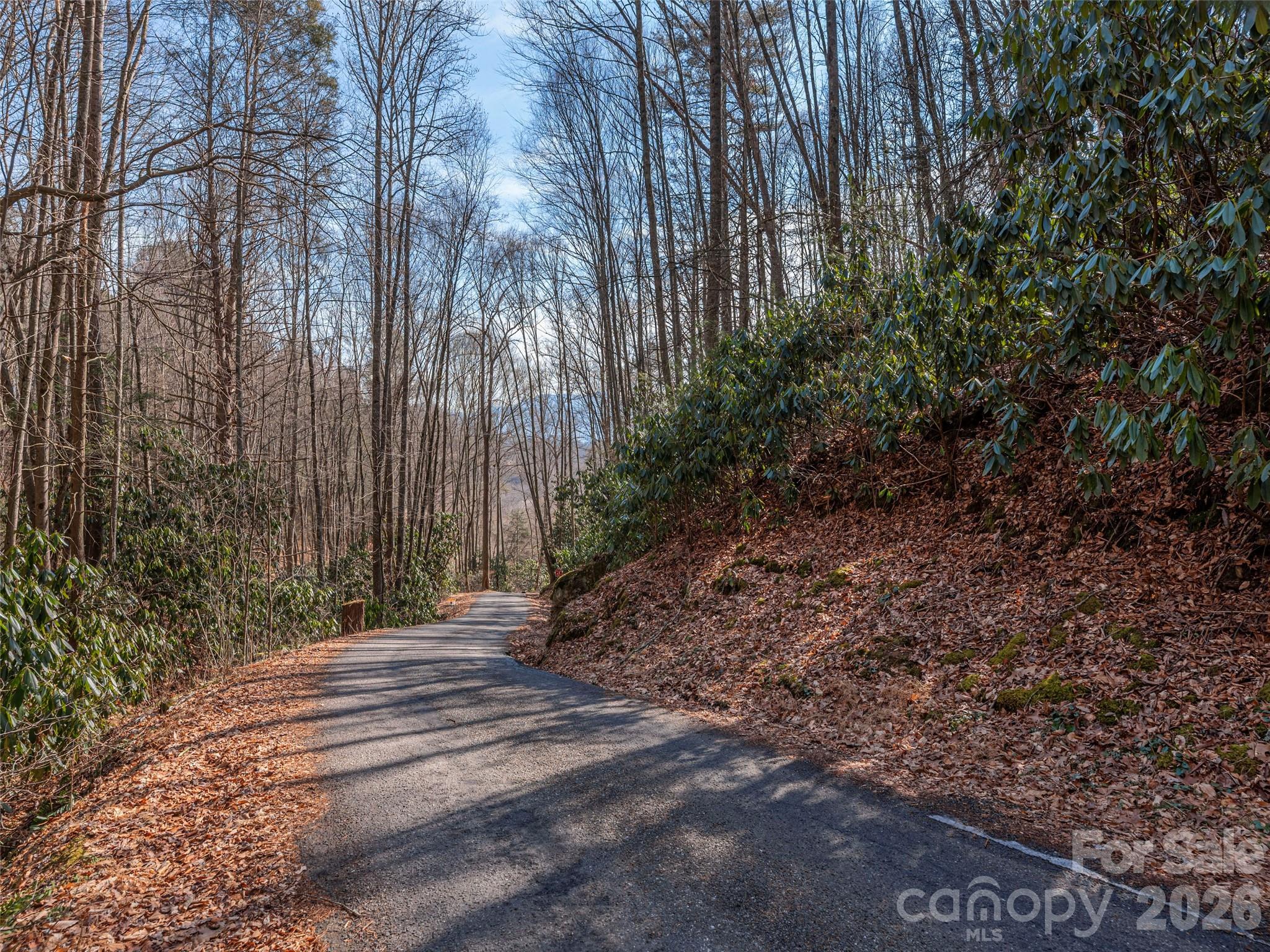 Lot at 0 Coyote Hollow Road, Waynesville, photo 3 of 12