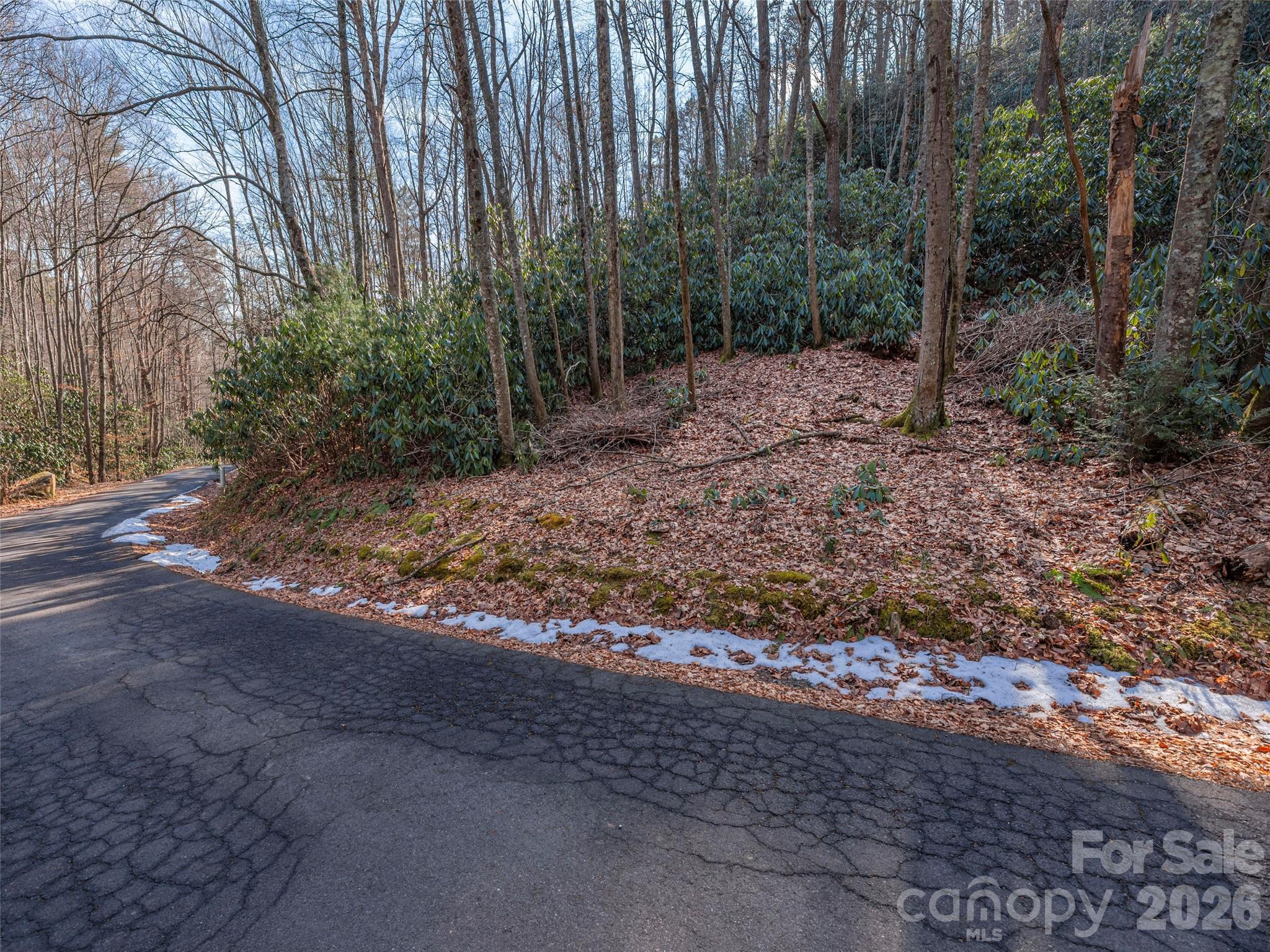 Lot at 0 Coyote Hollow Road, Waynesville, photo 4 of 12