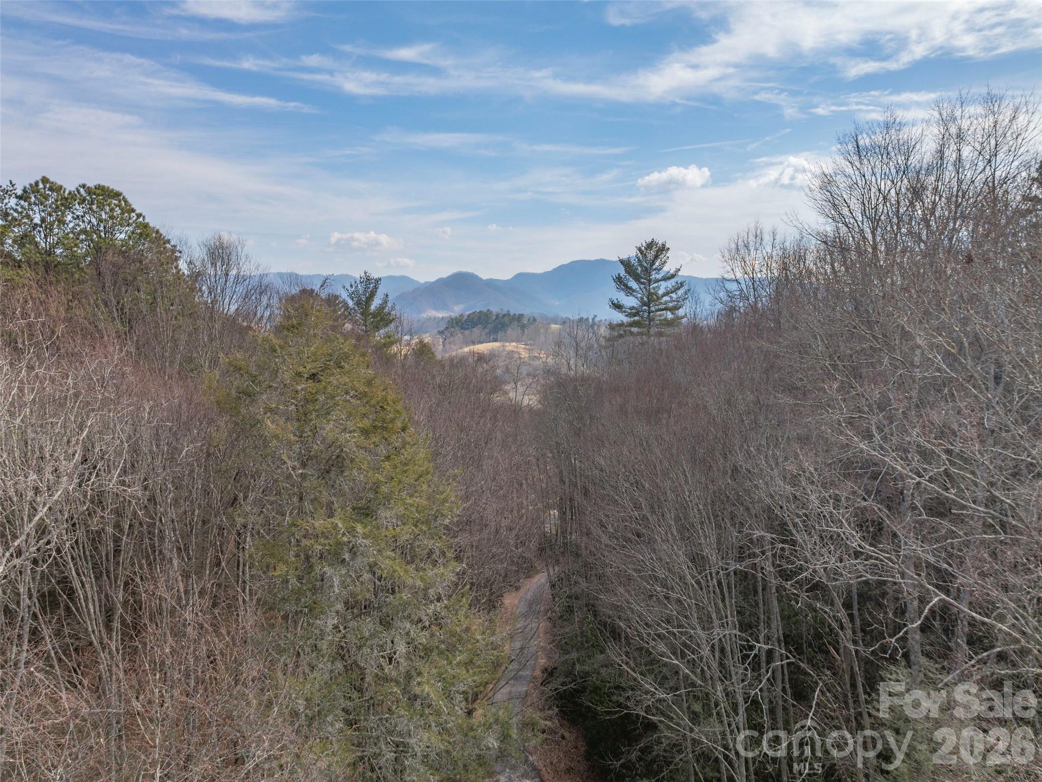 Lot at 0 Coyote Hollow Road, Waynesville, photo 6 of 12