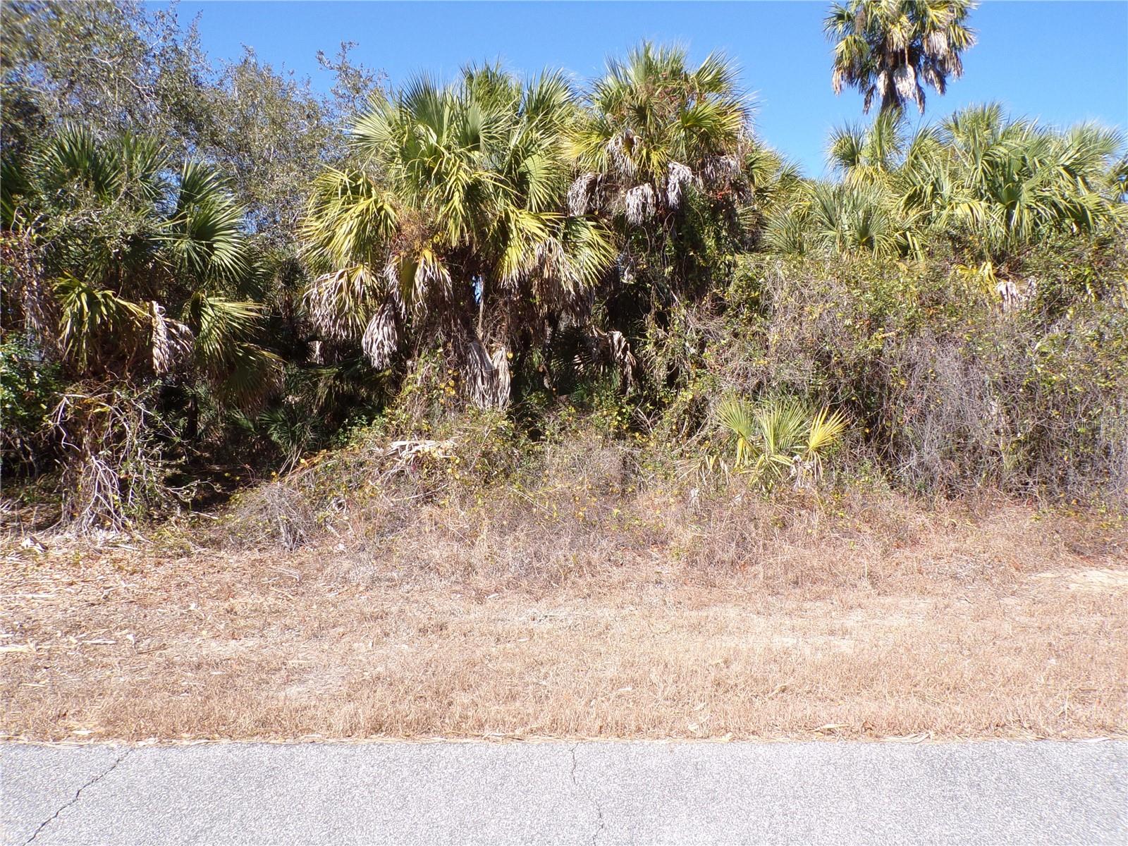 LAS ALMANOS AVE