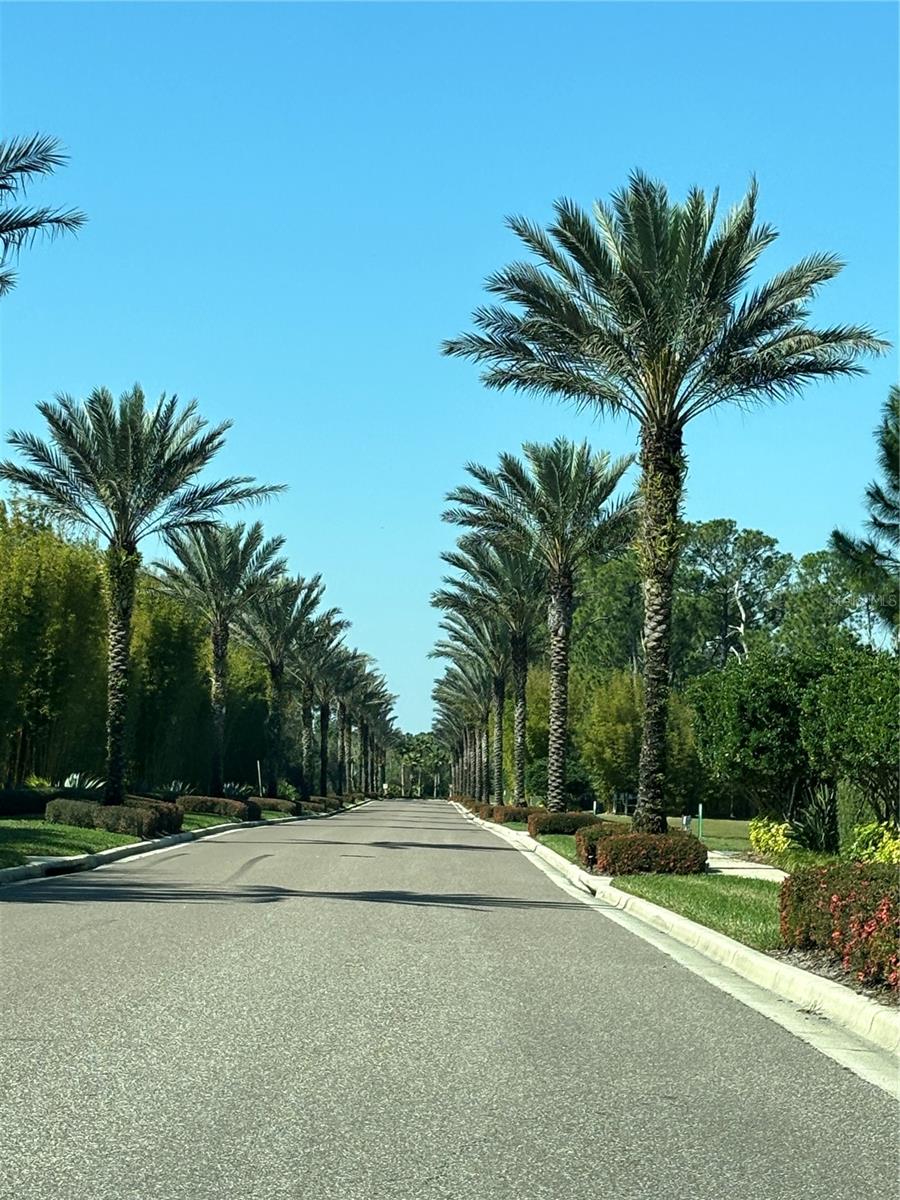 Condo - Hotel at 14501 GROVE RESORT AVE #3128, WINTER GARDEN, photo 18 of 46